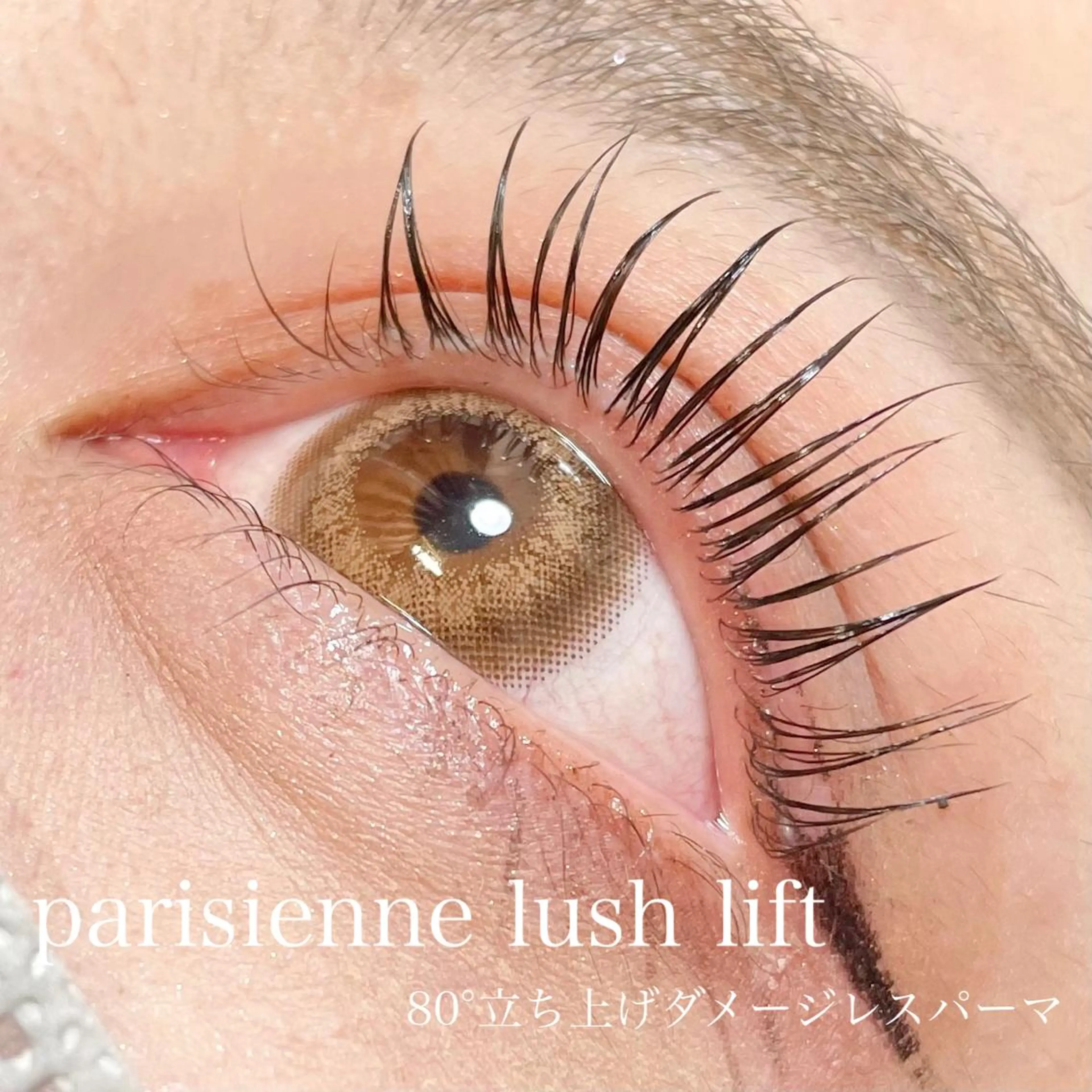 マツエク・マツパ パリジェンヌラッシュリフト eight eyelash池袋店のマツエク・マツパデザイン