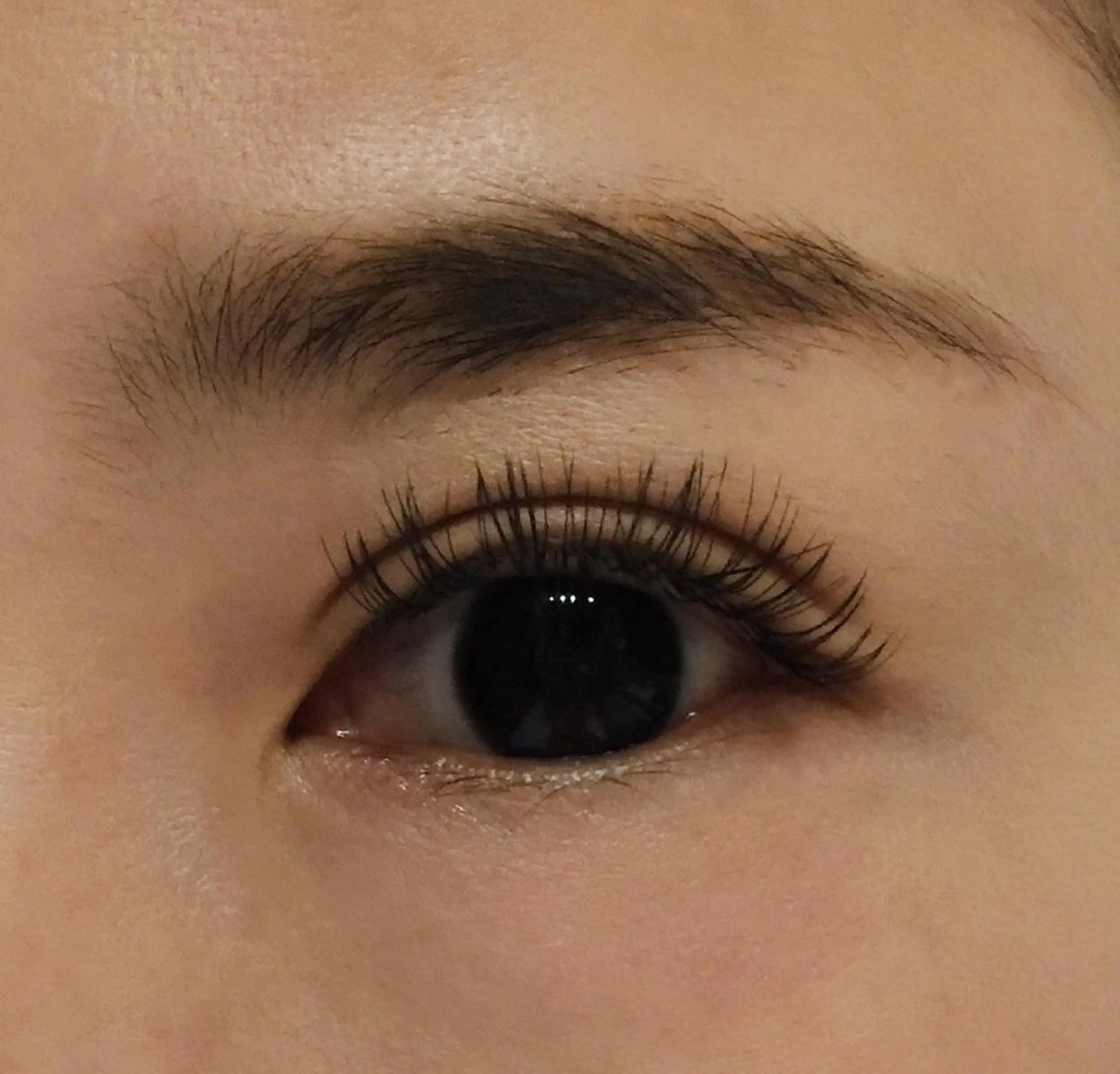 初回オフ無料&フラットラッシュ180本の写真