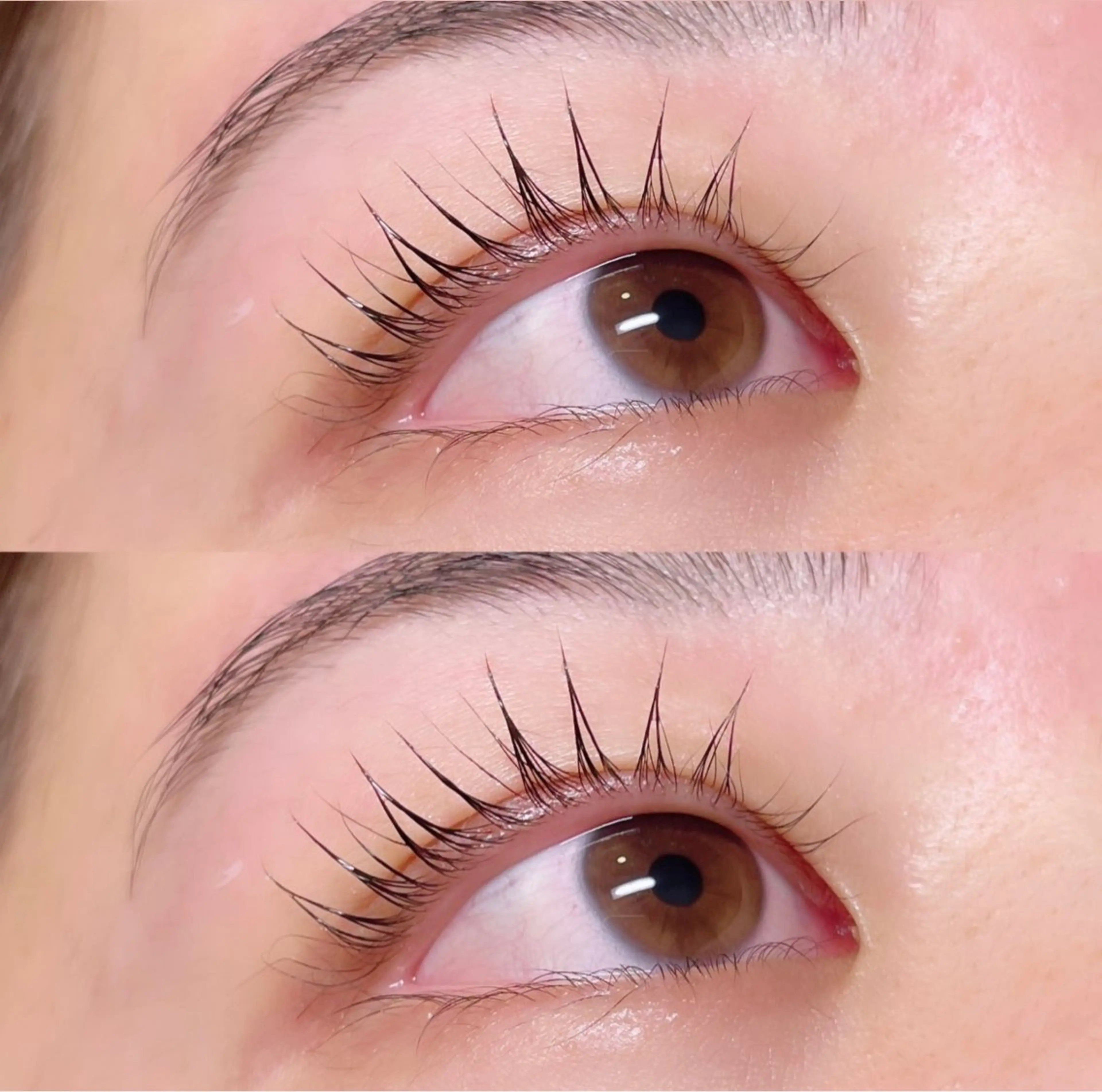 マツエク・マツパ 束感まつ毛 パリジェンヌラッシュリフト cerisier mio/名古屋/黒川のマツエク・マツパデザイン