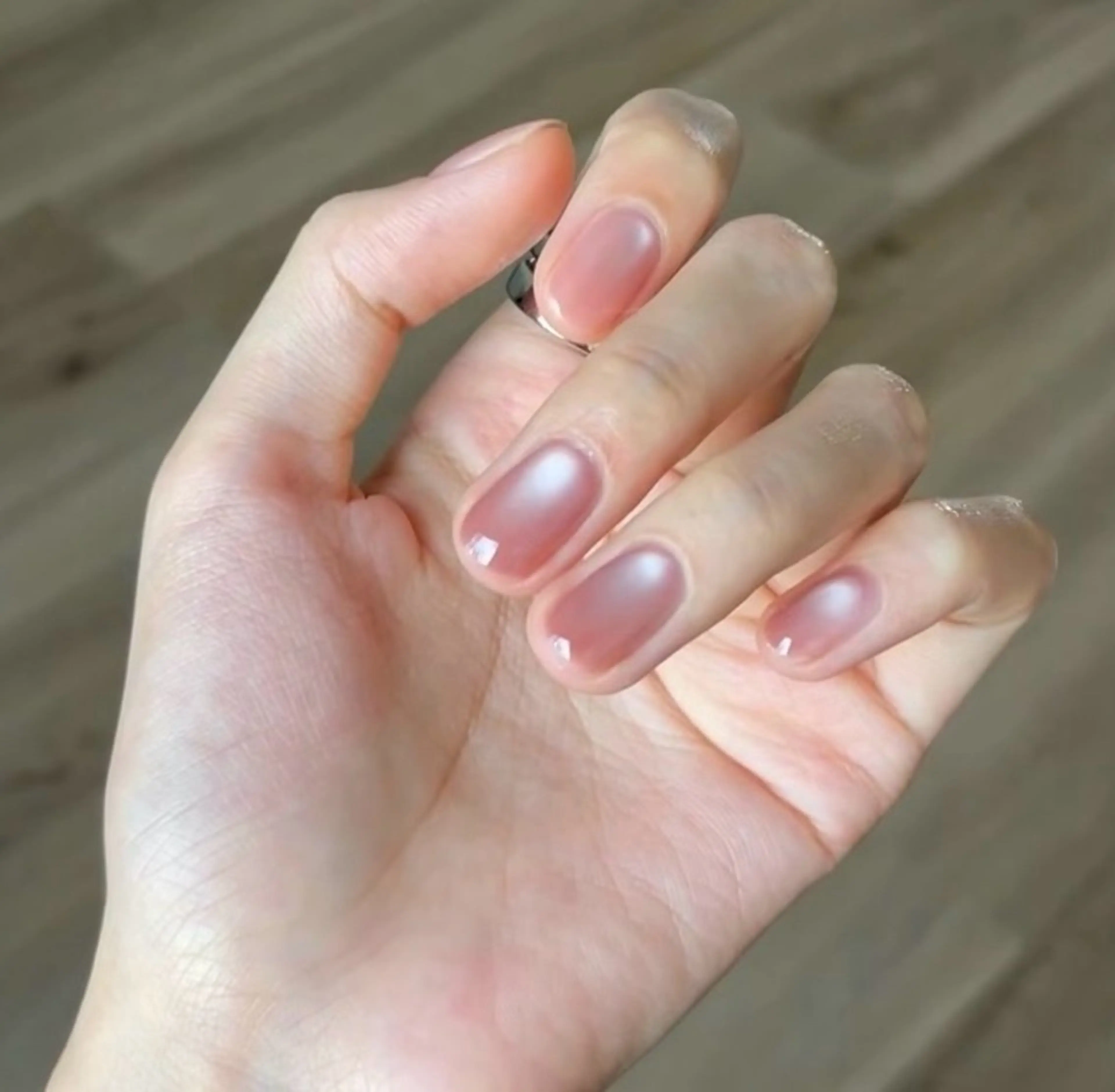 マグネット✨(一色) （オフ込み)の写真