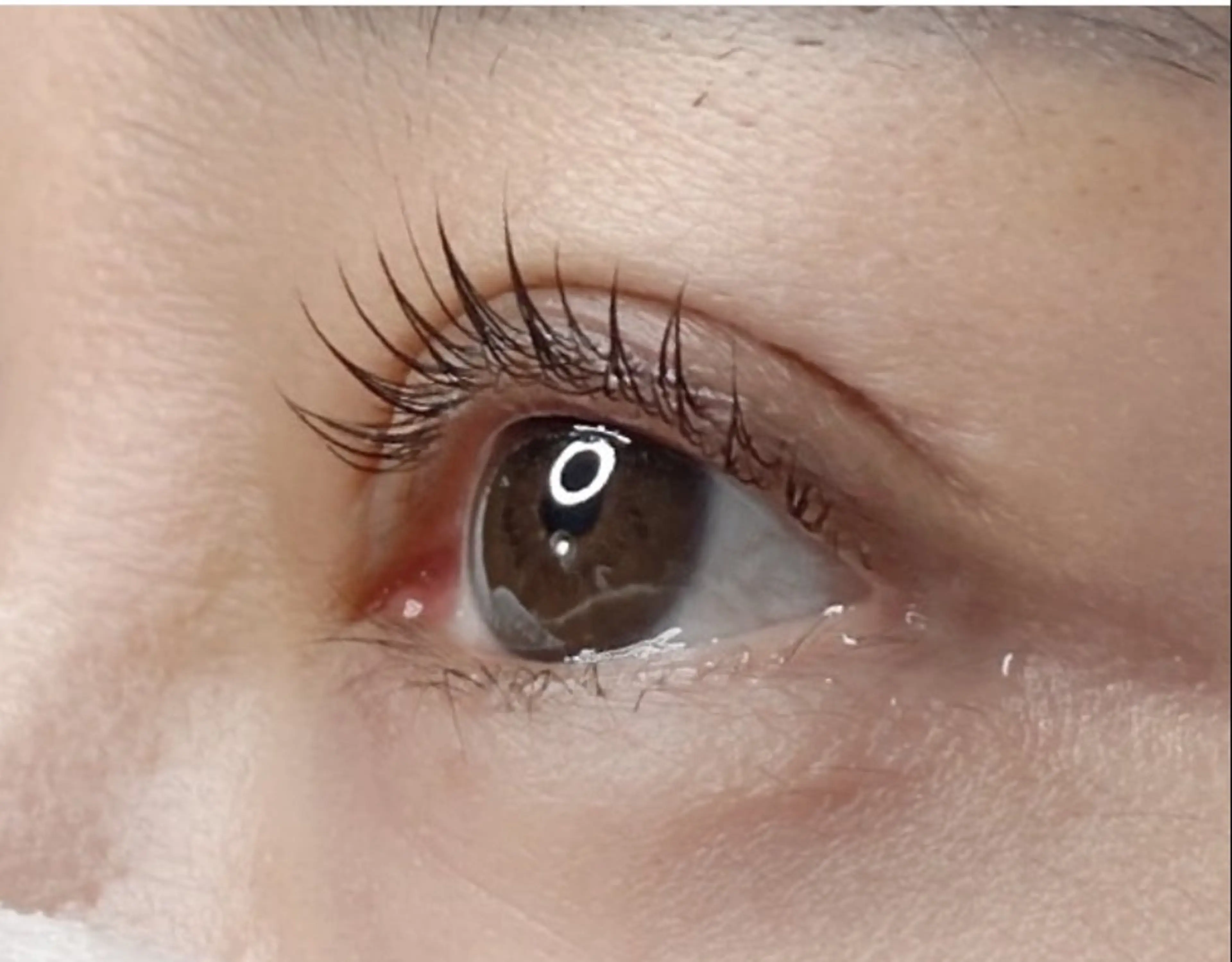 パーマ Hera …のマツエク・マツパデザイン