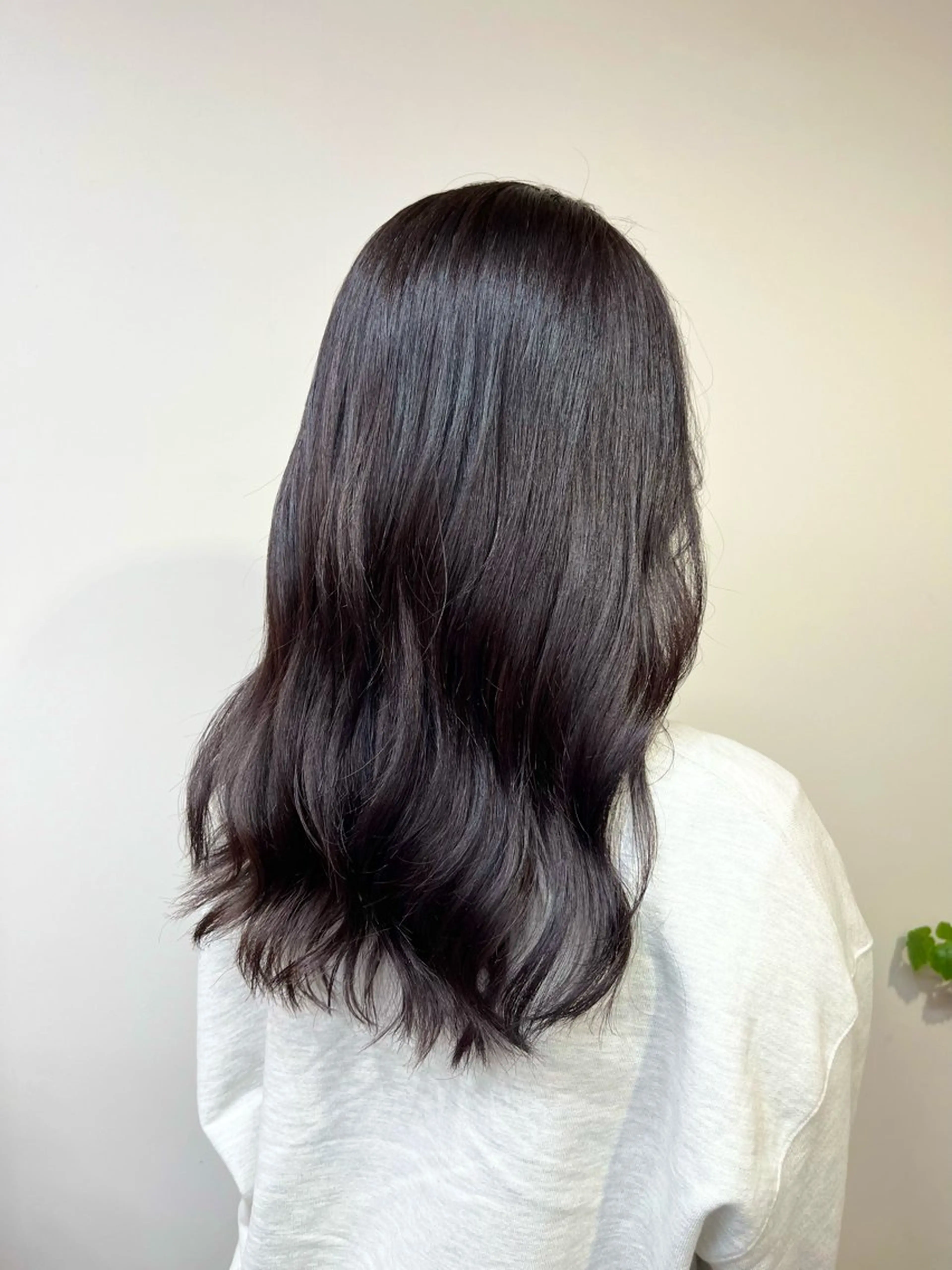 セミロング カラー ブラウンカラー パープルカラー パープルブラウン カット ヘアカラー トリートメント タケデ スズカのヘアスタイル