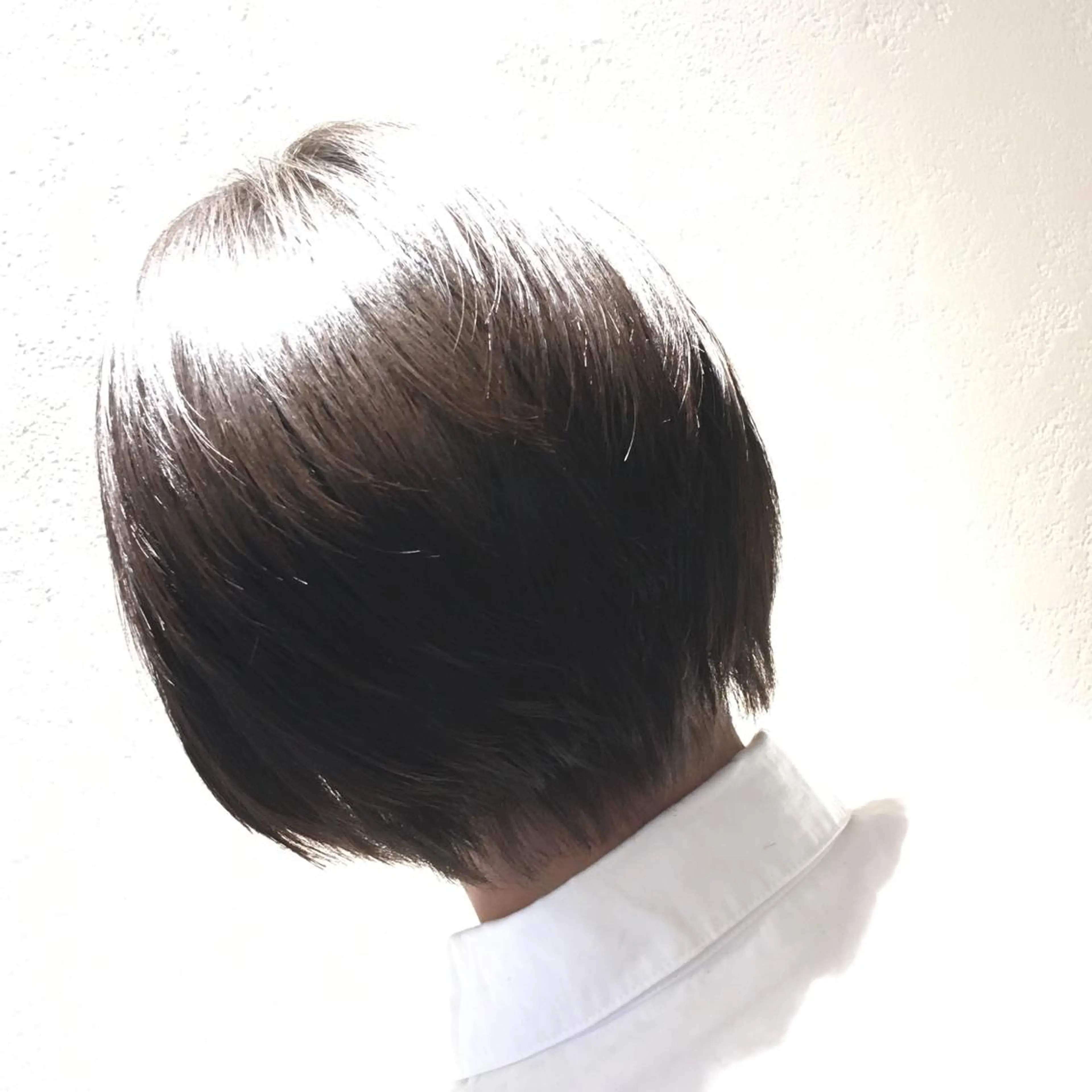 ショート カラー 橋本 慶司のヘアスタイル