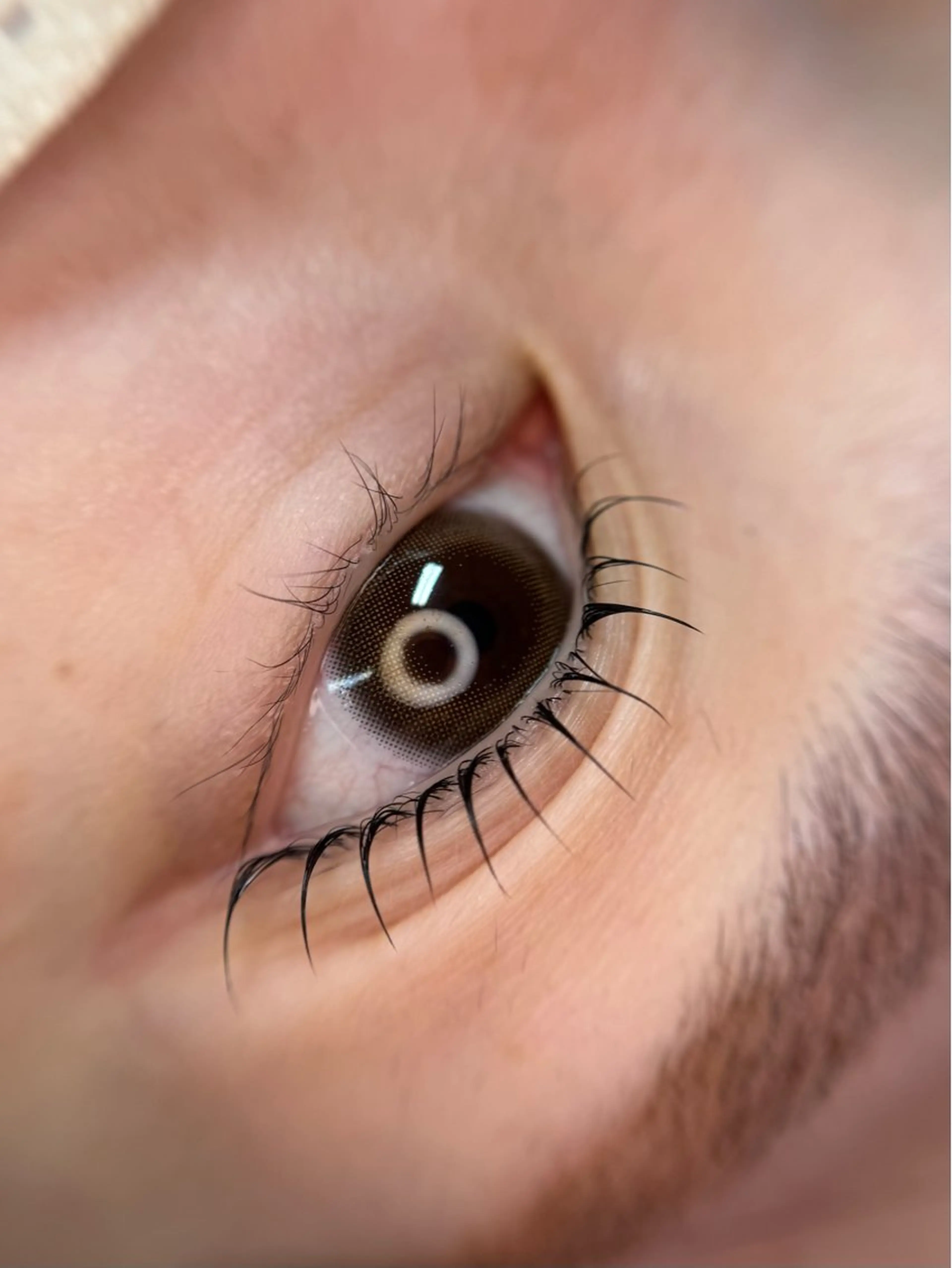 ❂韓国まつ毛パーマ❂ノーグルーまつげパーマ&ブラックティント付きの写真