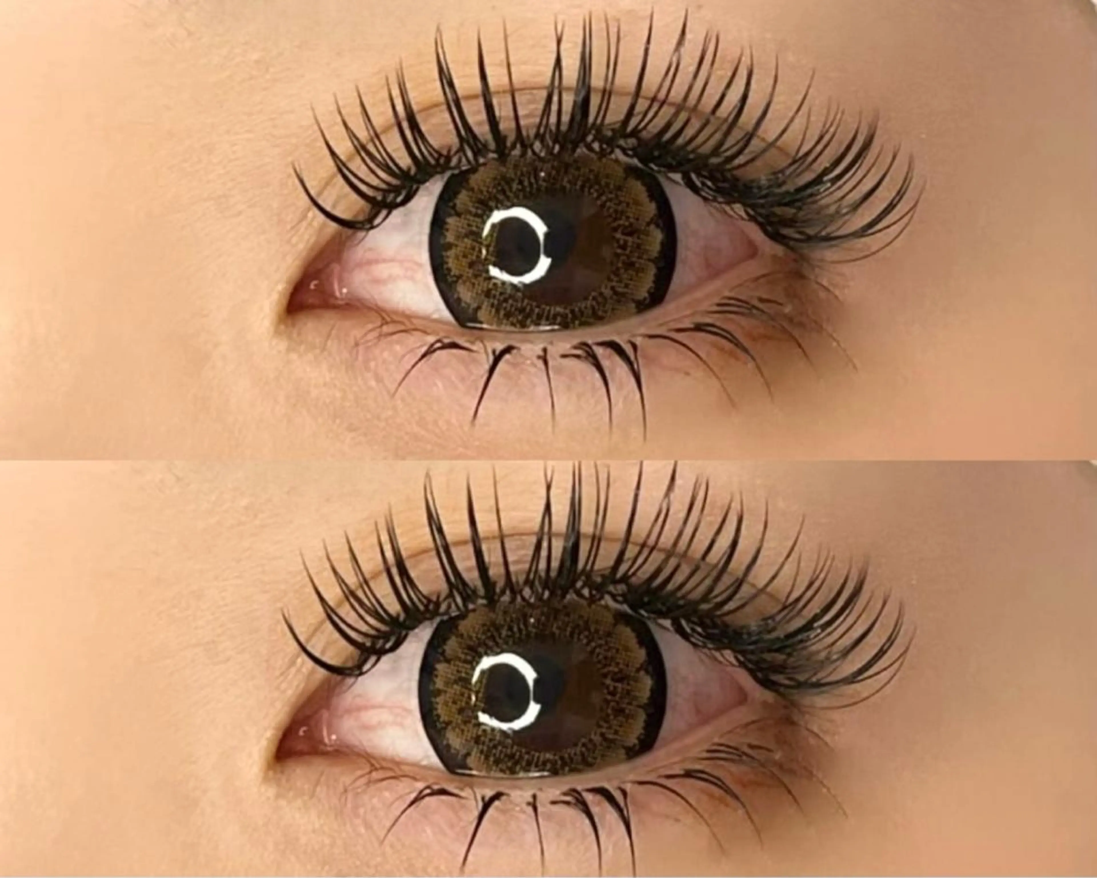 Jr.アイリスト⭐️モデル募集バインドロック90分付け放題(オフ込み)(80束​〜​100束)お時間90分程度の写真