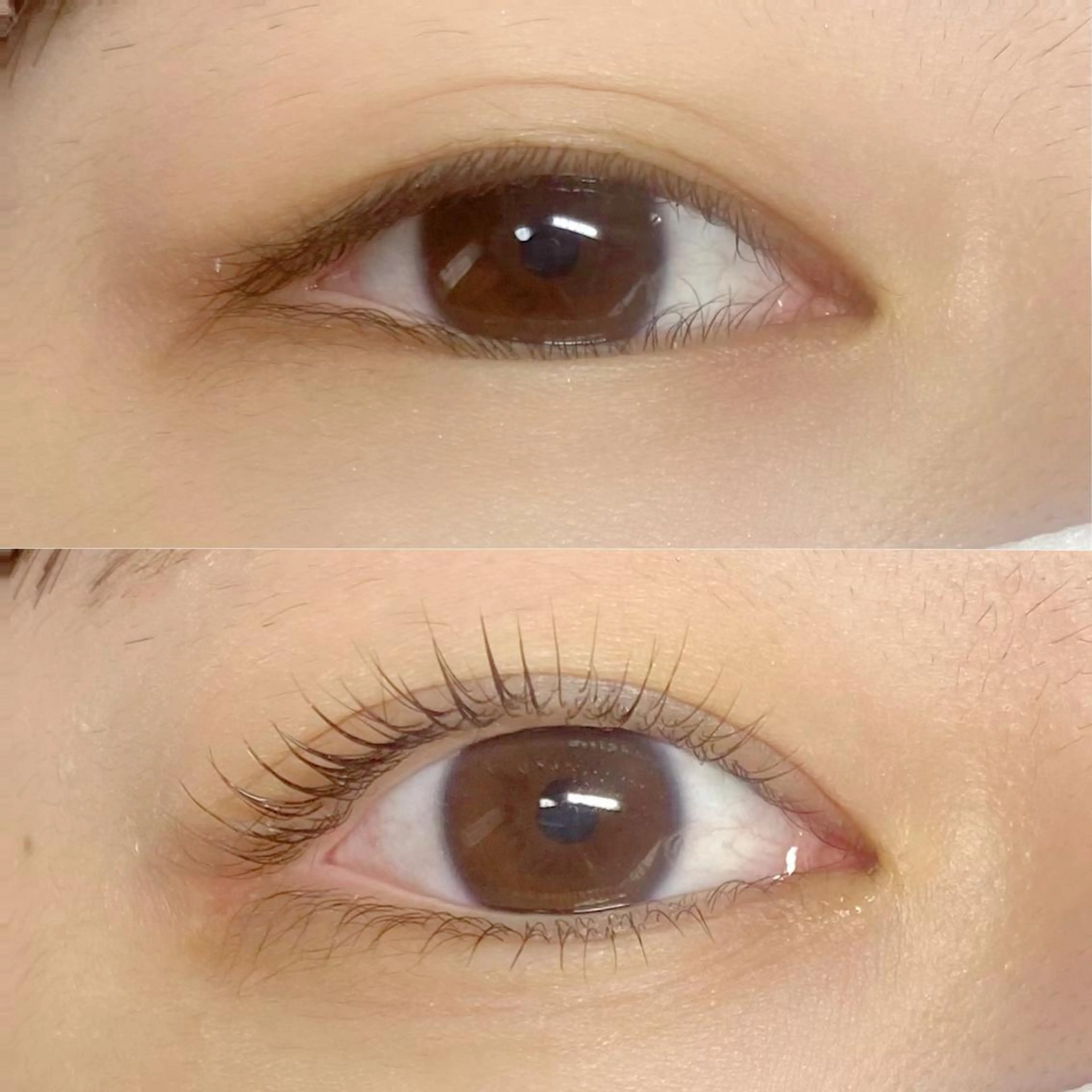 マツエク・マツパ CITRON ⭐︎のマツエク・マツパデザイン