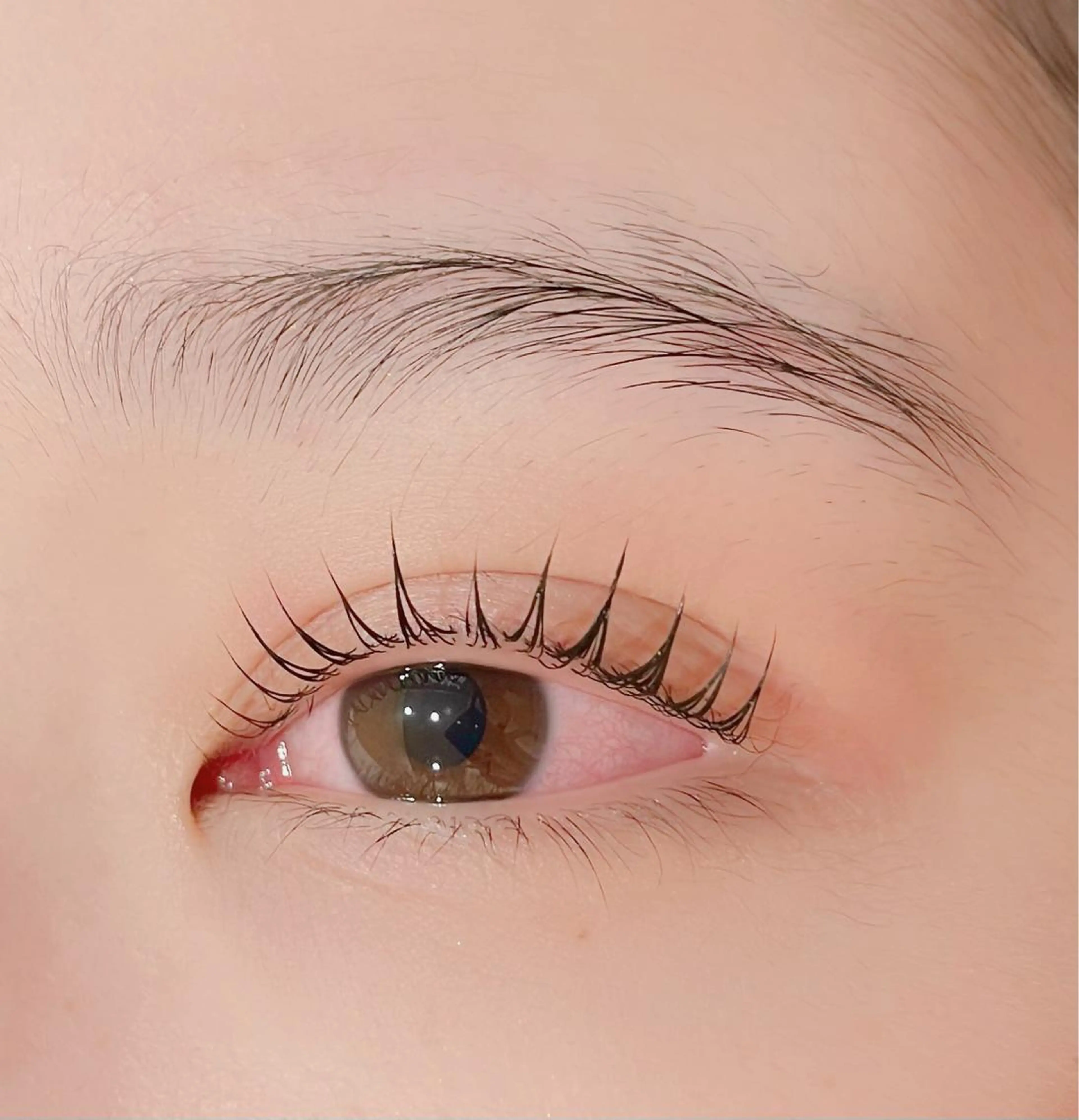 マツエク・マツパ マツパ mecotto大宮店 店長MAKI似合わせのマツエク・マツパデザイン