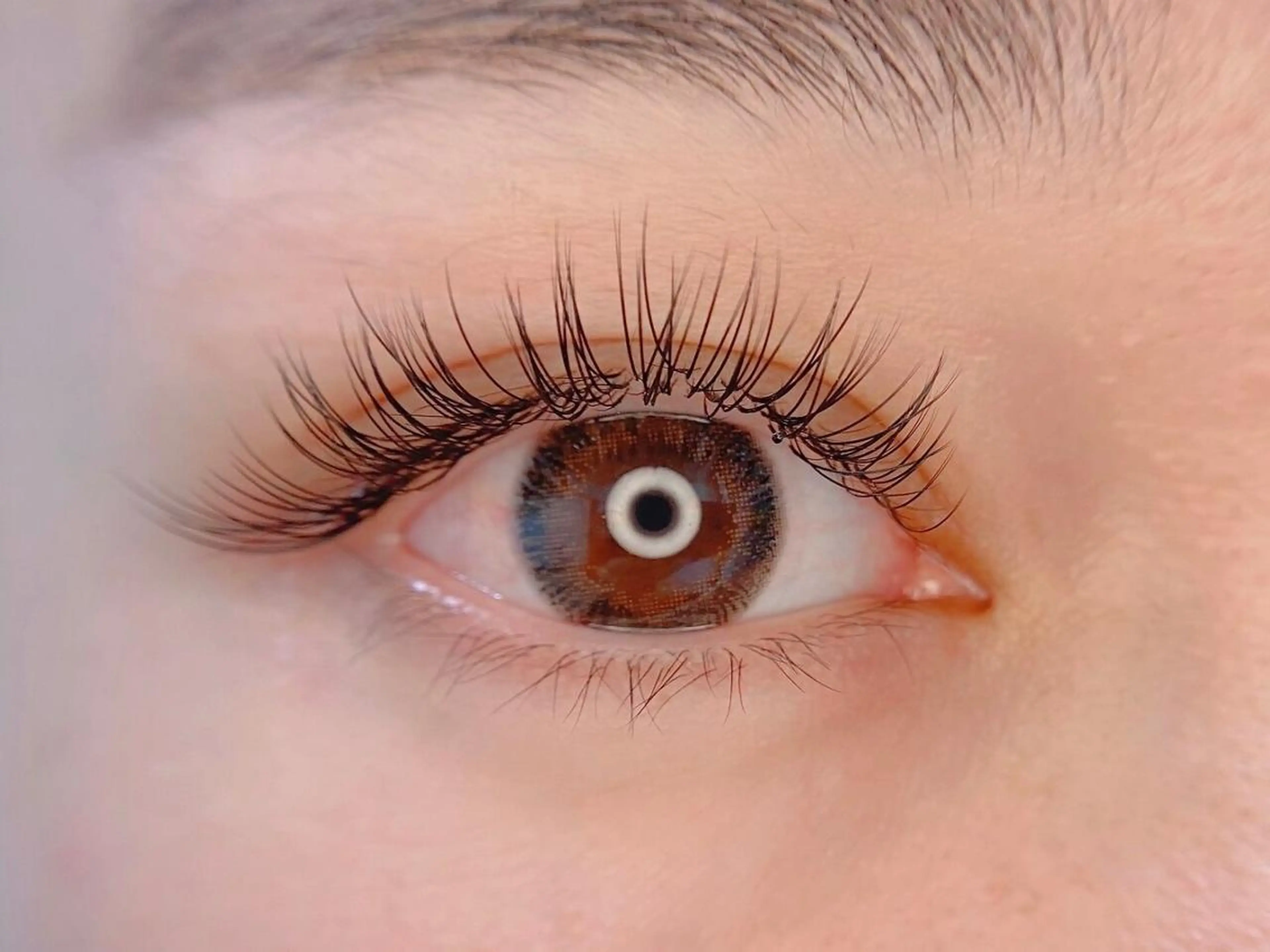 💗練習モデル💗LED★フラットラッシュ100~120本/上のみ♪/他店オフ込の写真