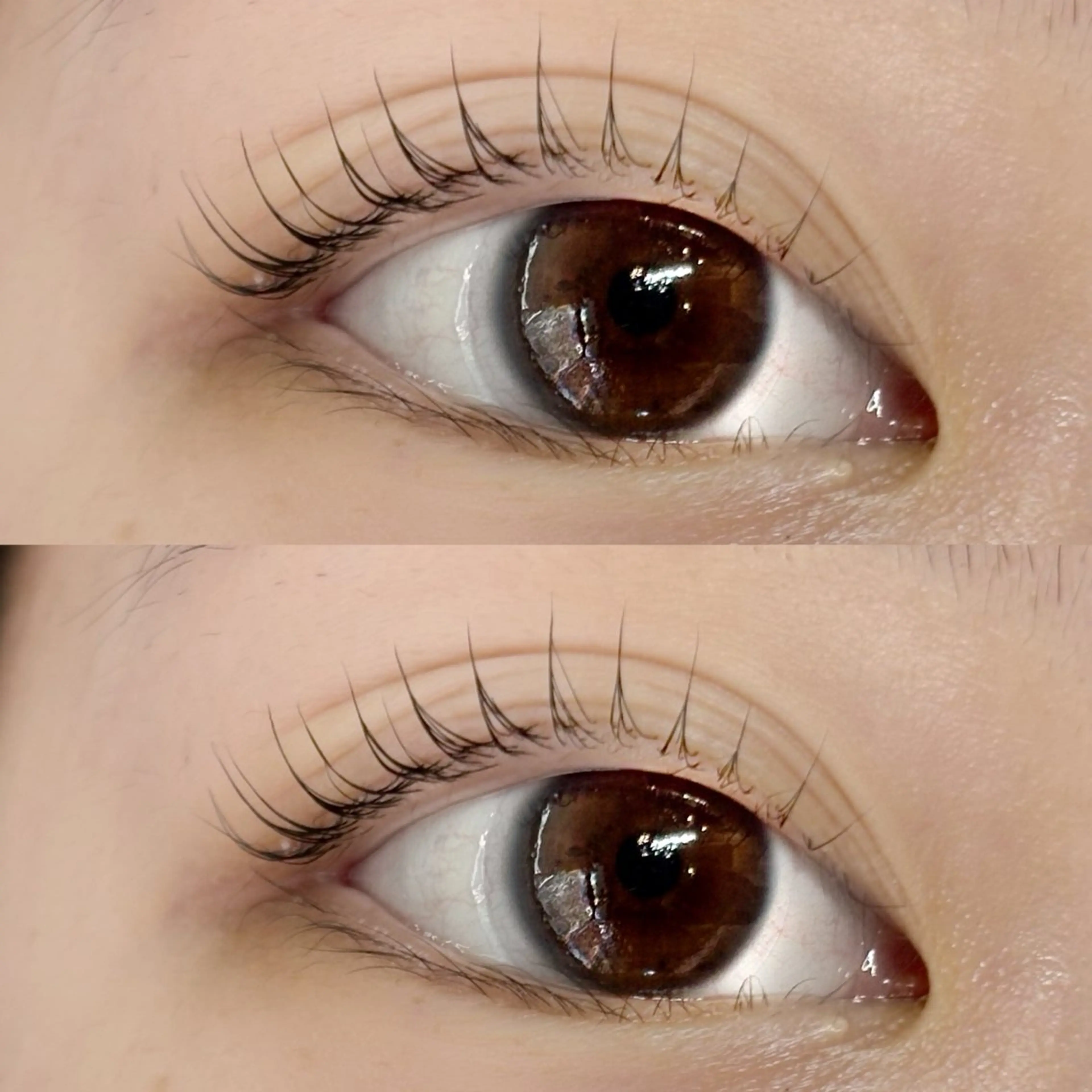 マツエク・マツパ マツパ lino eyelash&eyebrow淡路店所属・【lino】 Reina🎀のマツエク・マツパデザイン