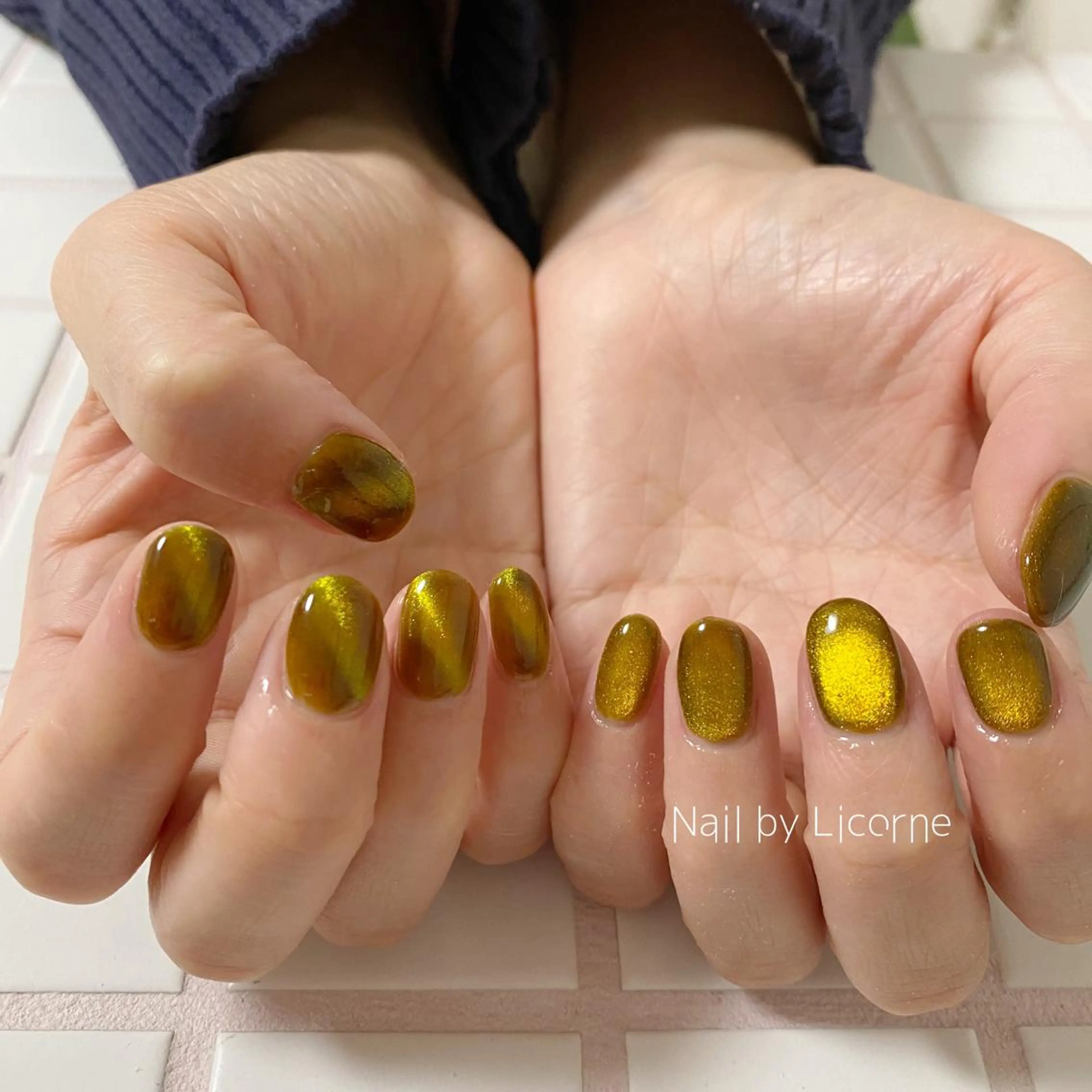 ネイル アートネイル オーロラネイル フレンチネイル 氷ネイル・うるうるネイル マグネットネイル ハンドネイル Nail by Licorneのネイルデザイン