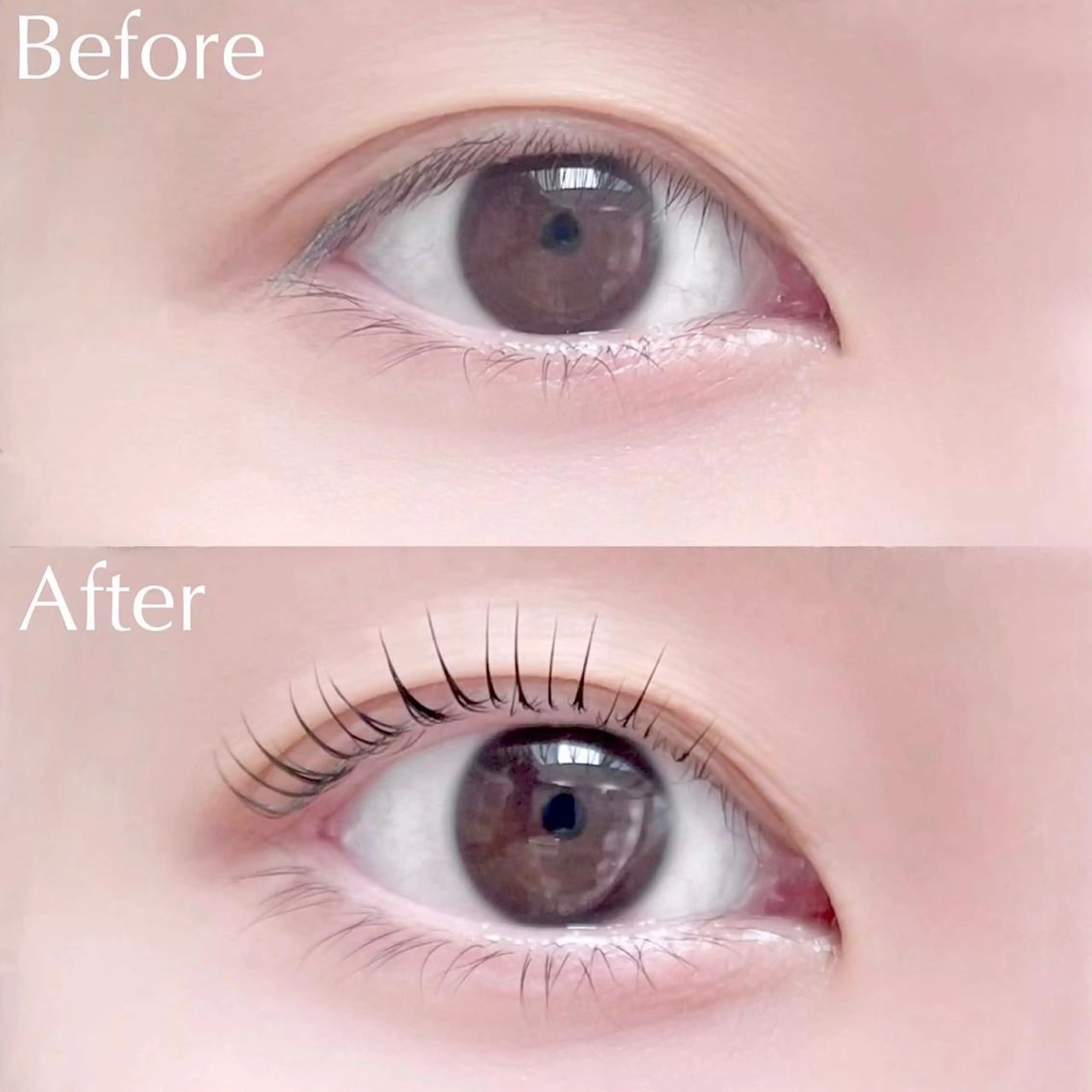 マツエク・マツパ マツパ usaginoo -ウサギノオ-所属・♡ usaginooのマツエク・マツパデザイン