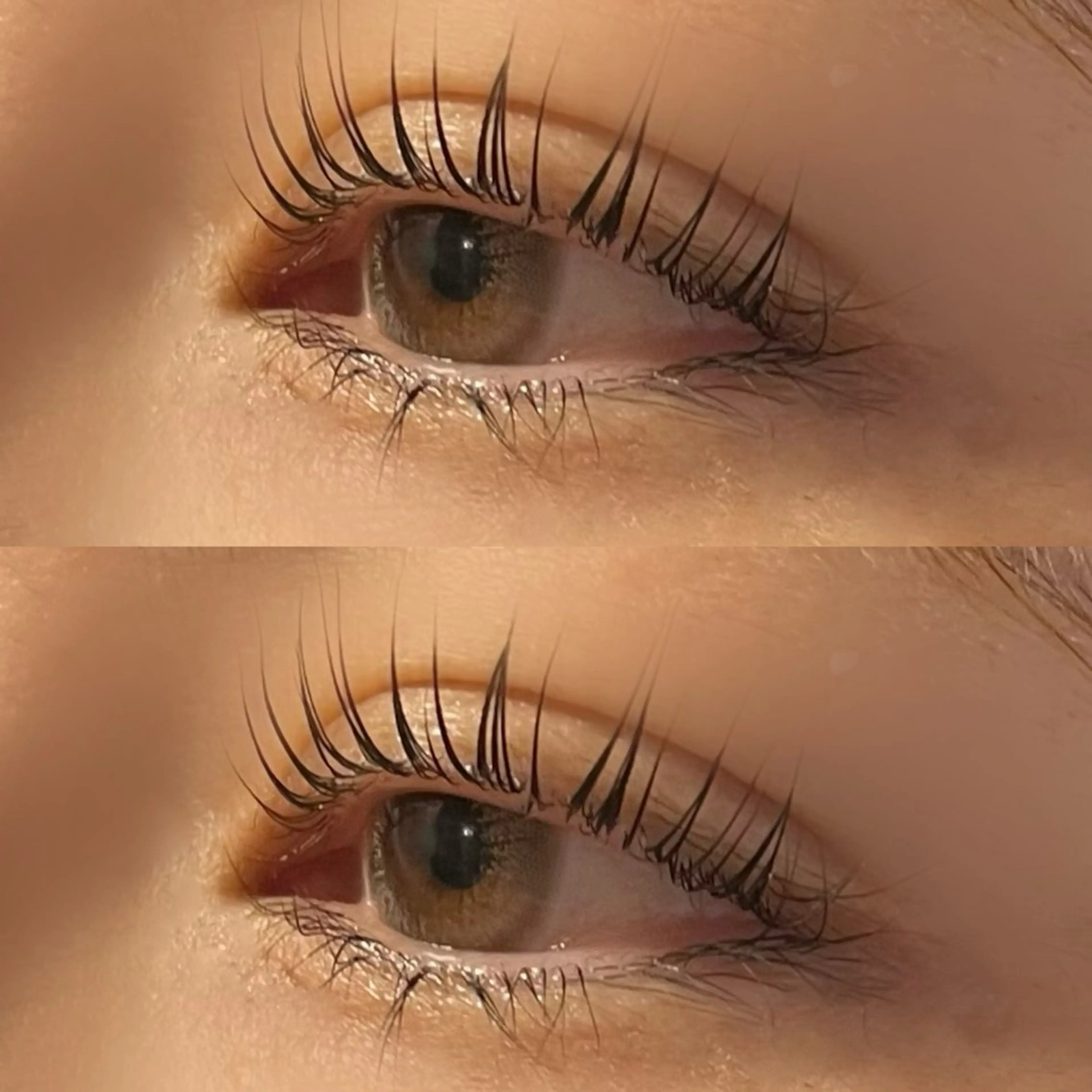 マツエク・マツパ eyelash  resort Melia所属・🤍 rinka🤍のマツエク・マツパデザイン