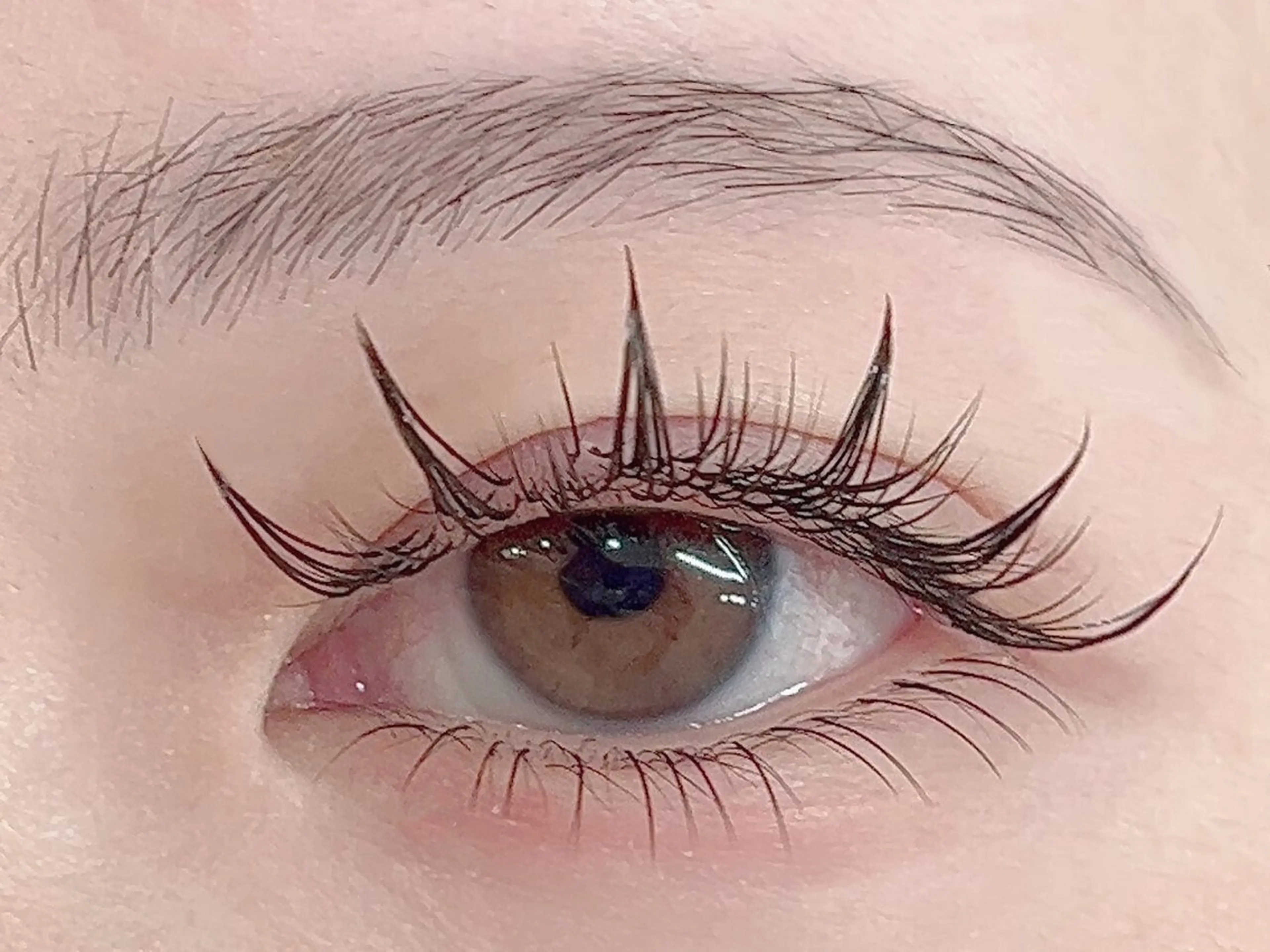 【中華ナチュラルワンホン】 フラットラッシュ　100～120本の写真