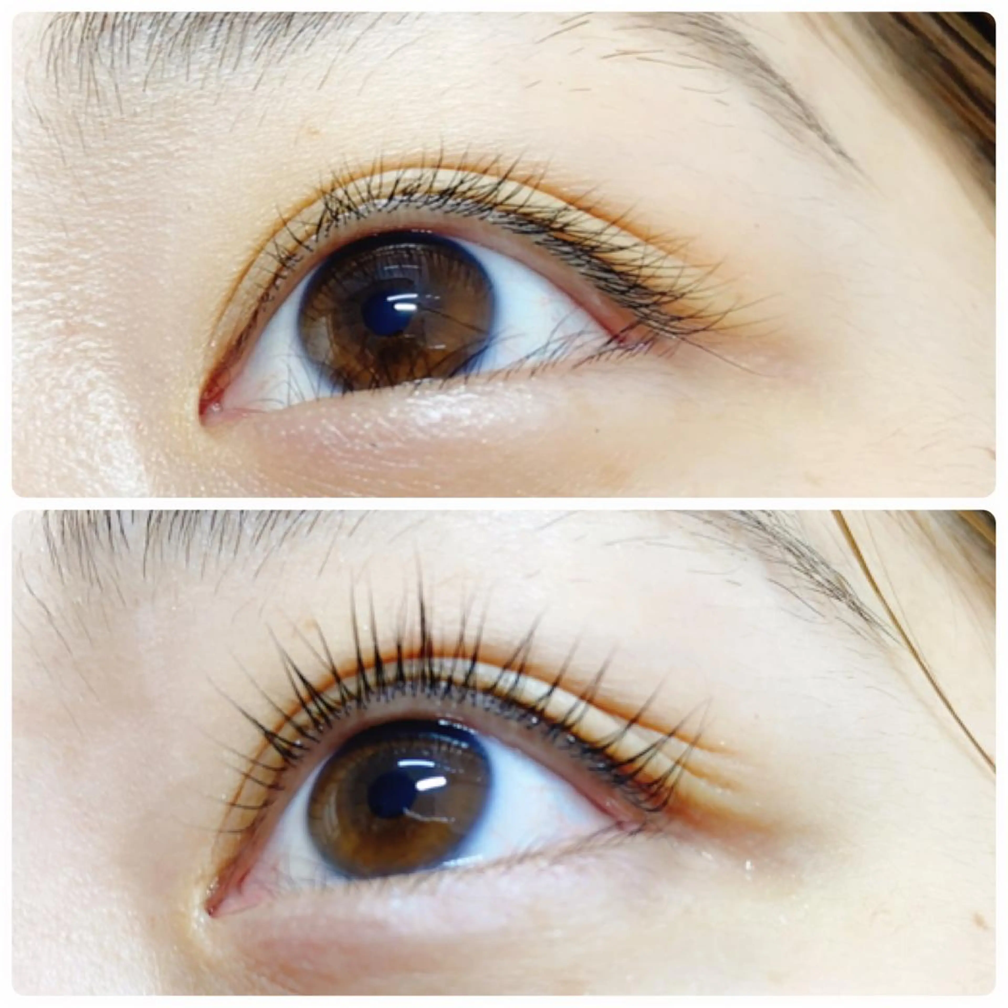 マツエク・マツパ マツパ INS Beauty 池袋のマツエク・マツパデザイン