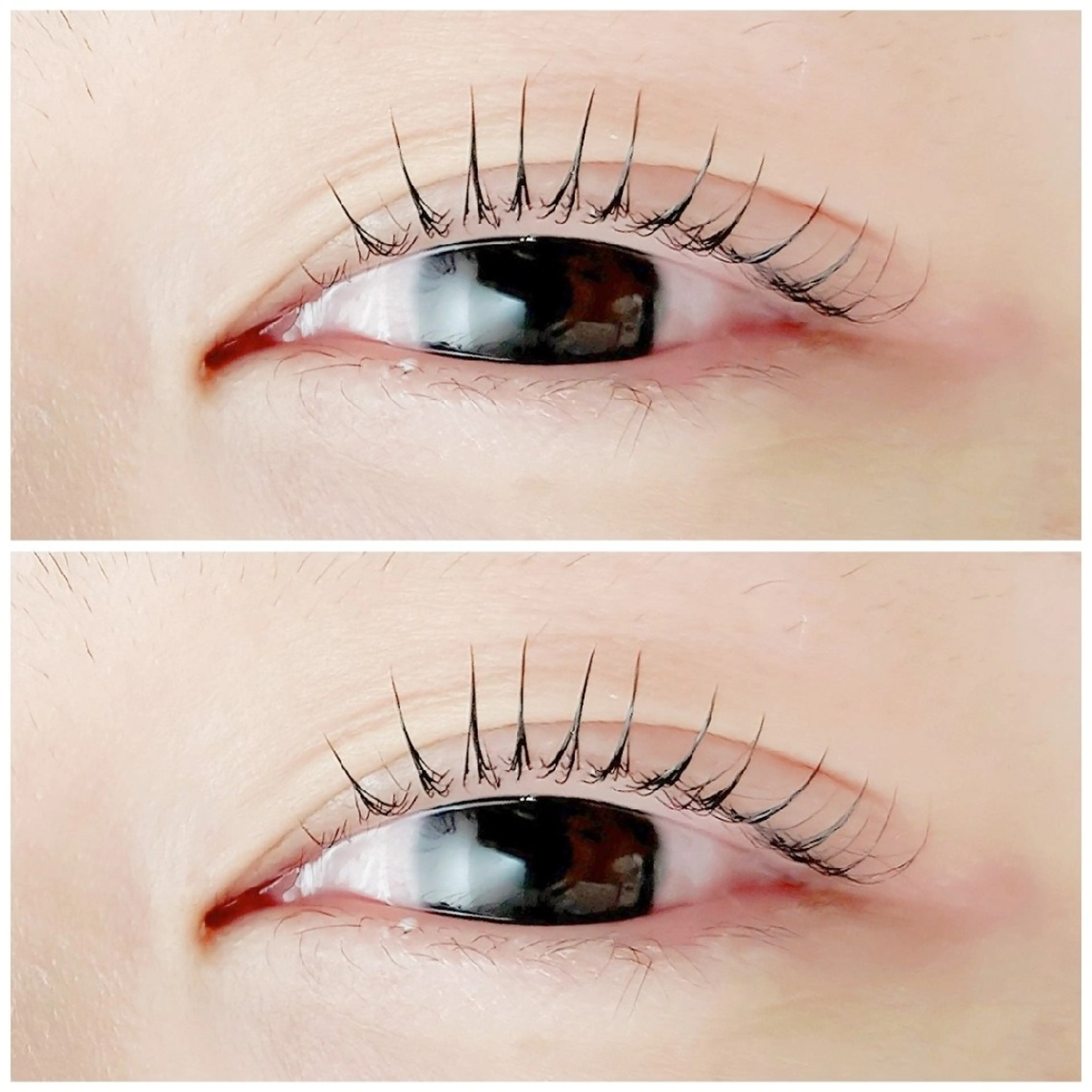 まつげパーマ🤍ケラチントリートメント付き✨の写真