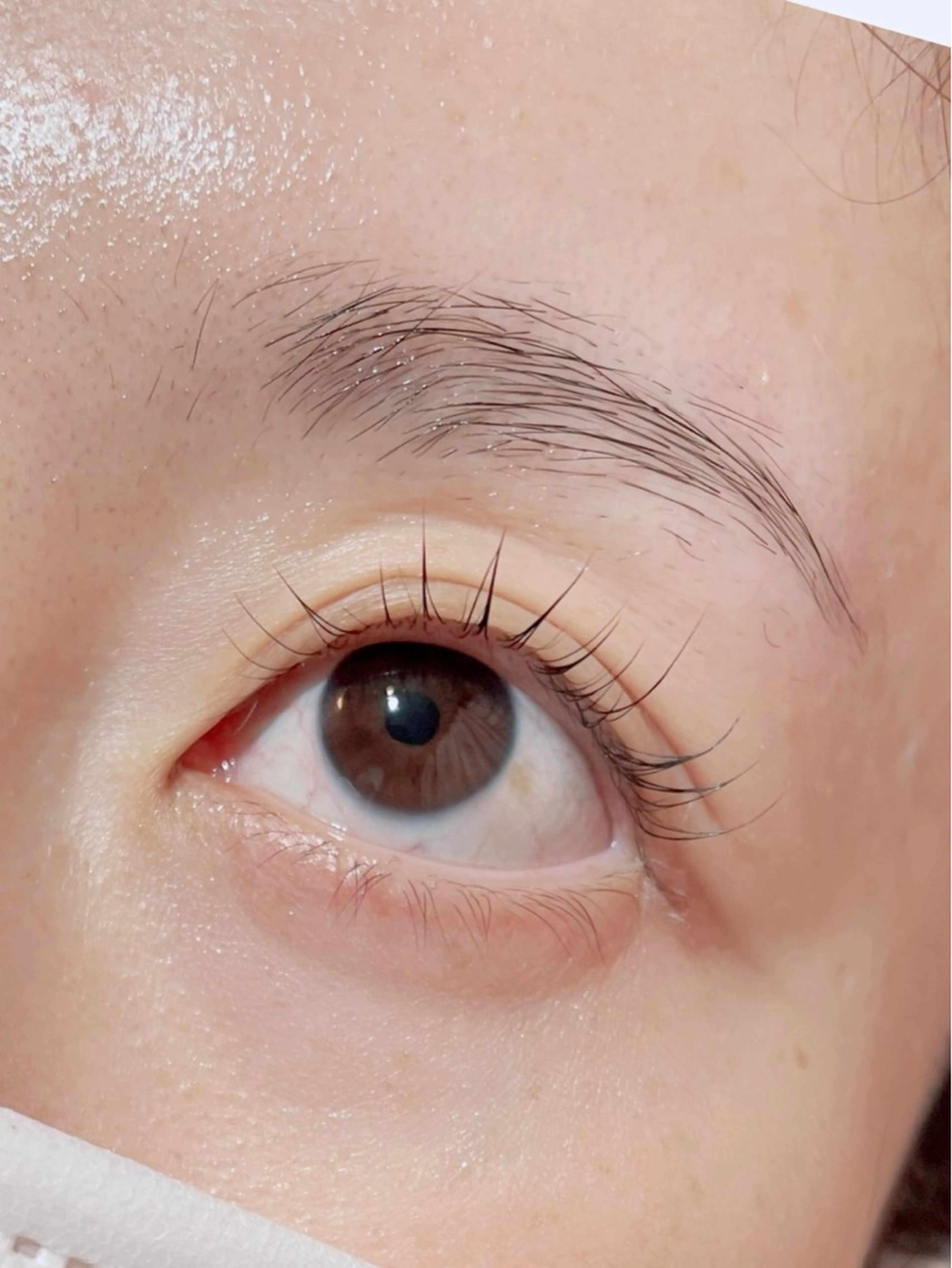 マツエク・マツパ Anjir(アンジール)所属・完全個室サロン Anjirのエステ・リラクイメージ