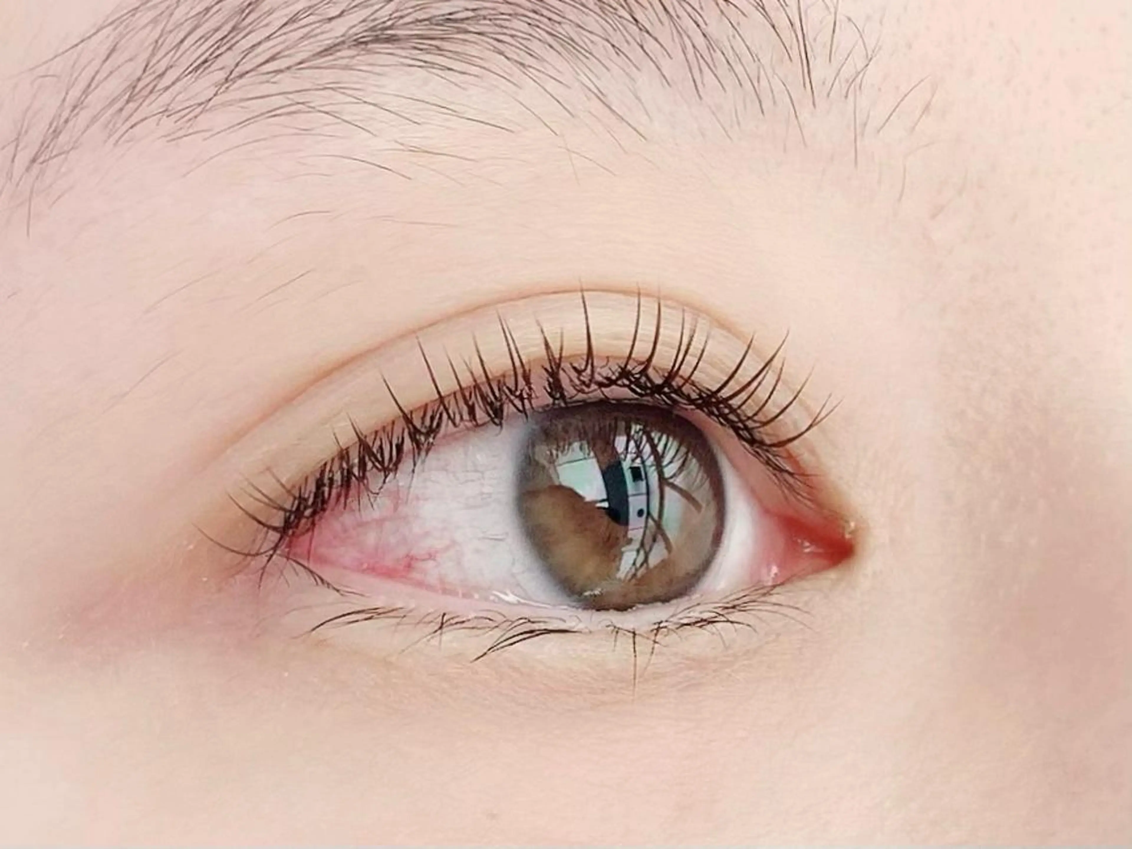 【🦋マツエク】フラットラッシュ100本🔹美容液コーティング付き✨の写真