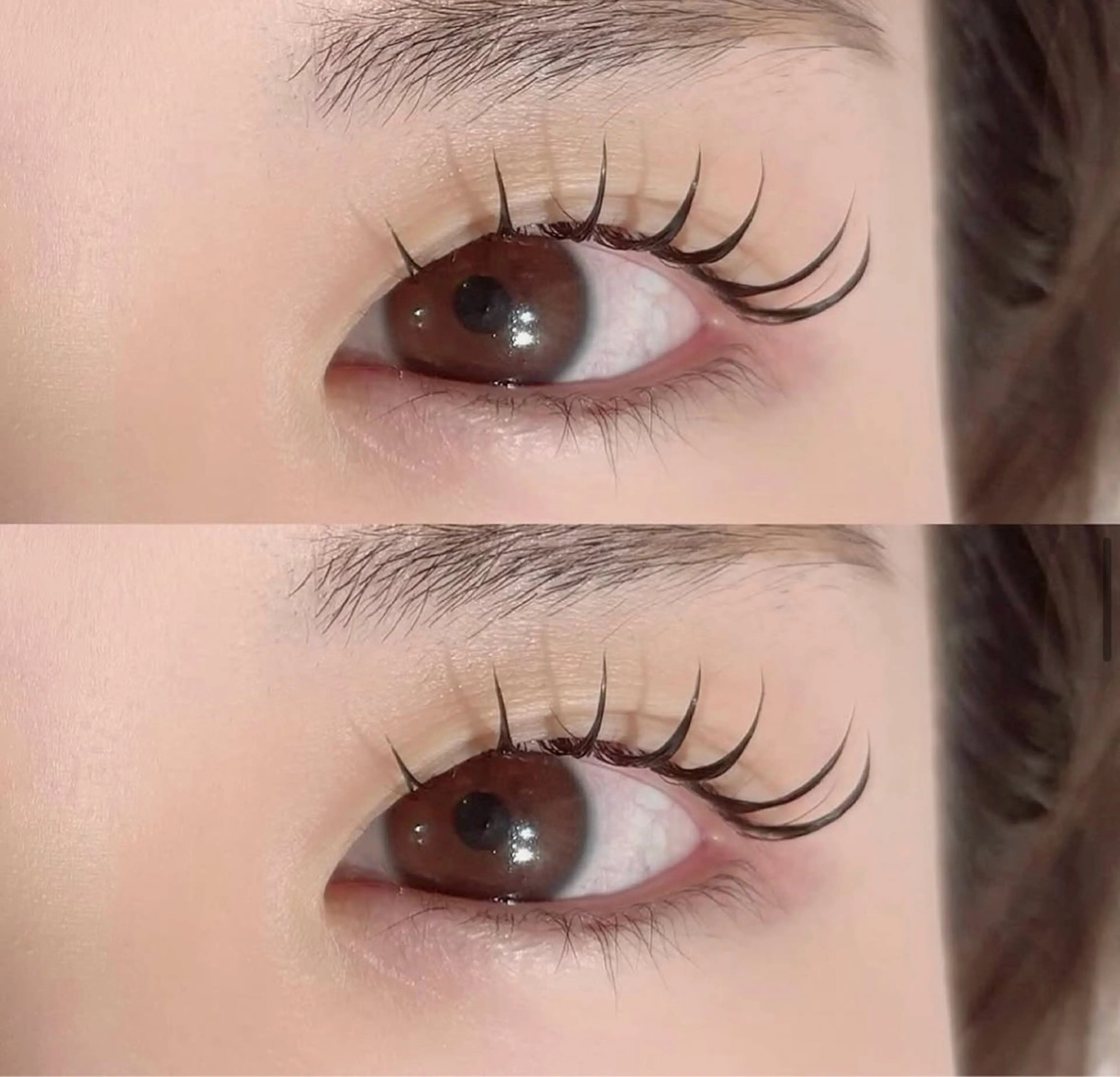 【バラつきにくさが人気✨️】🐚シェルロッドラッシュリフト🪼リピーター様+¥550の写真