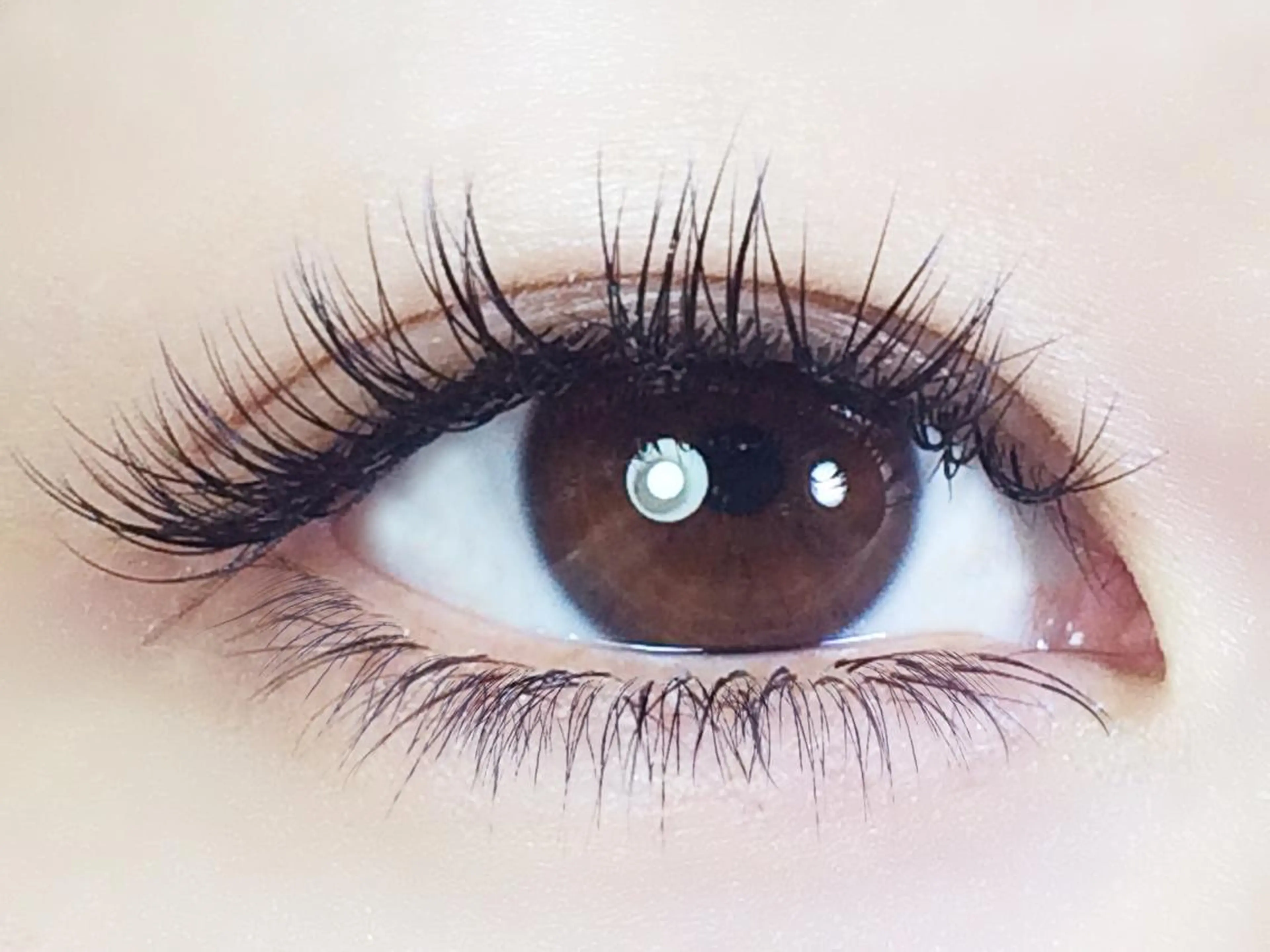 マツエク・マツパ FOXY LASH the beautyのマツエク・マツパデザイン