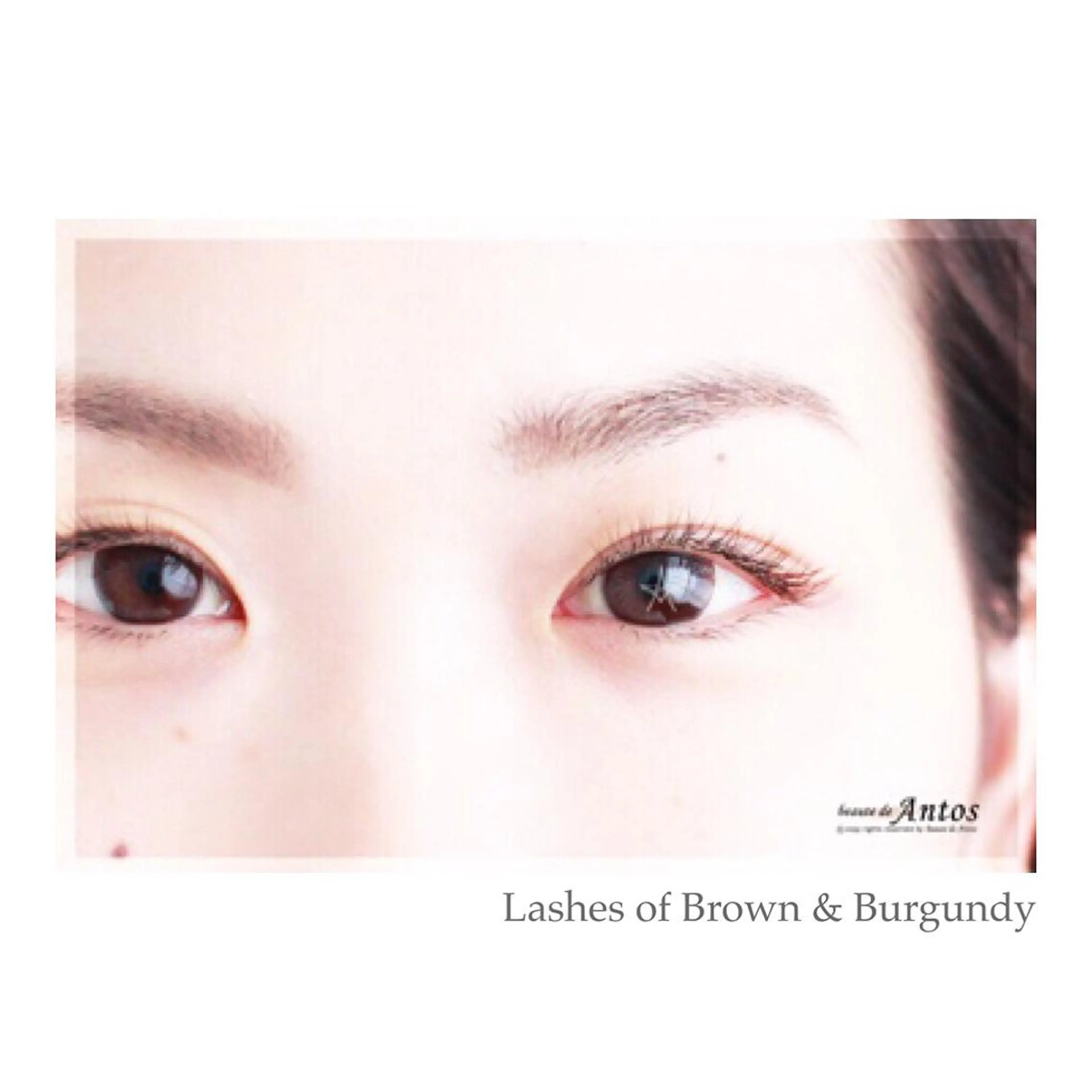 マツエク・マツパ カラーマツエク フラットラッシュ まつげ&眉の専門店 アントススタッフの眉毛・アイブロウイメージ