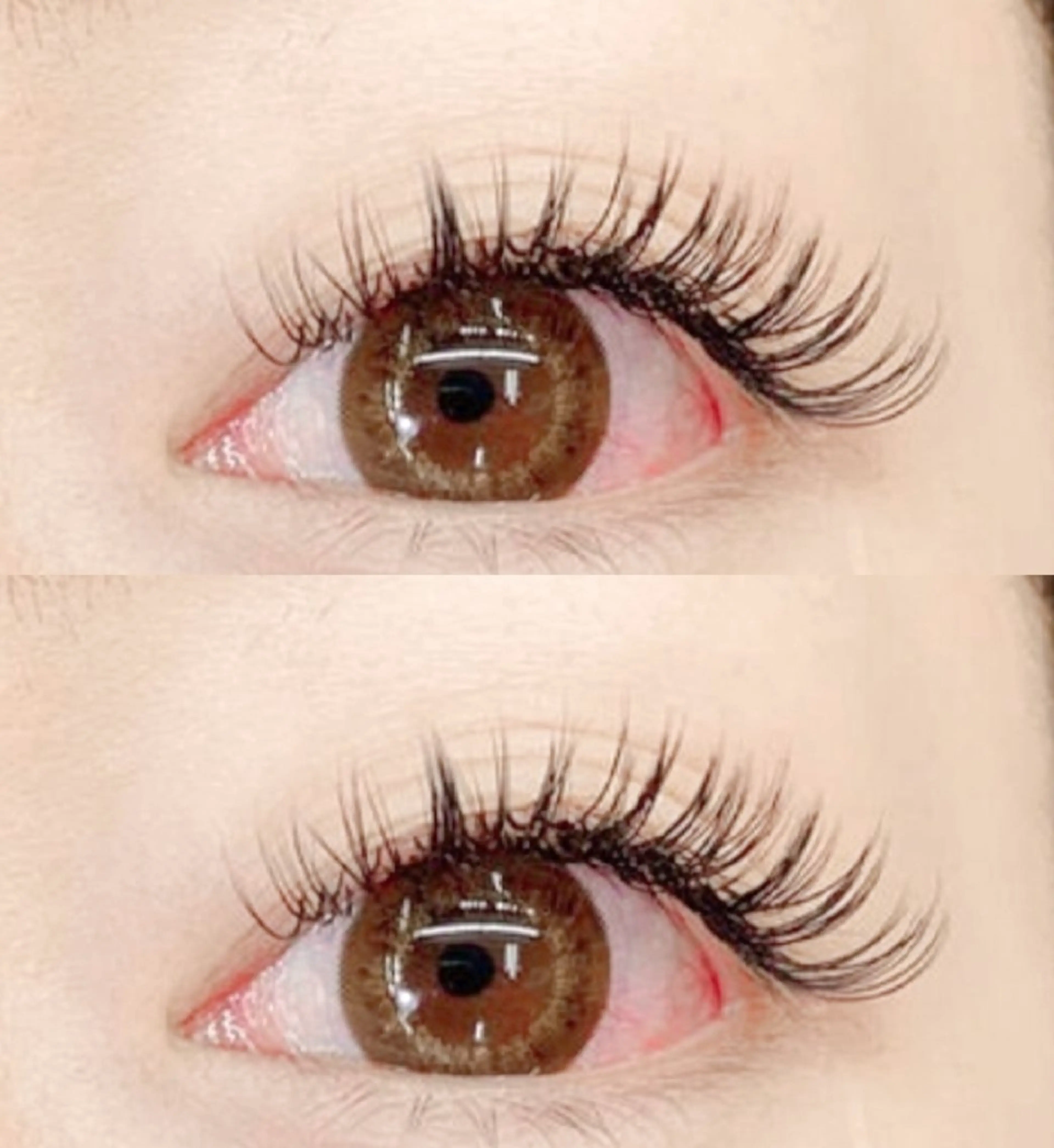 🍭【パリエク】パリジェンヌ+ボリュームラッシュ400本+アイシャンプー+キープコーディング剤の写真