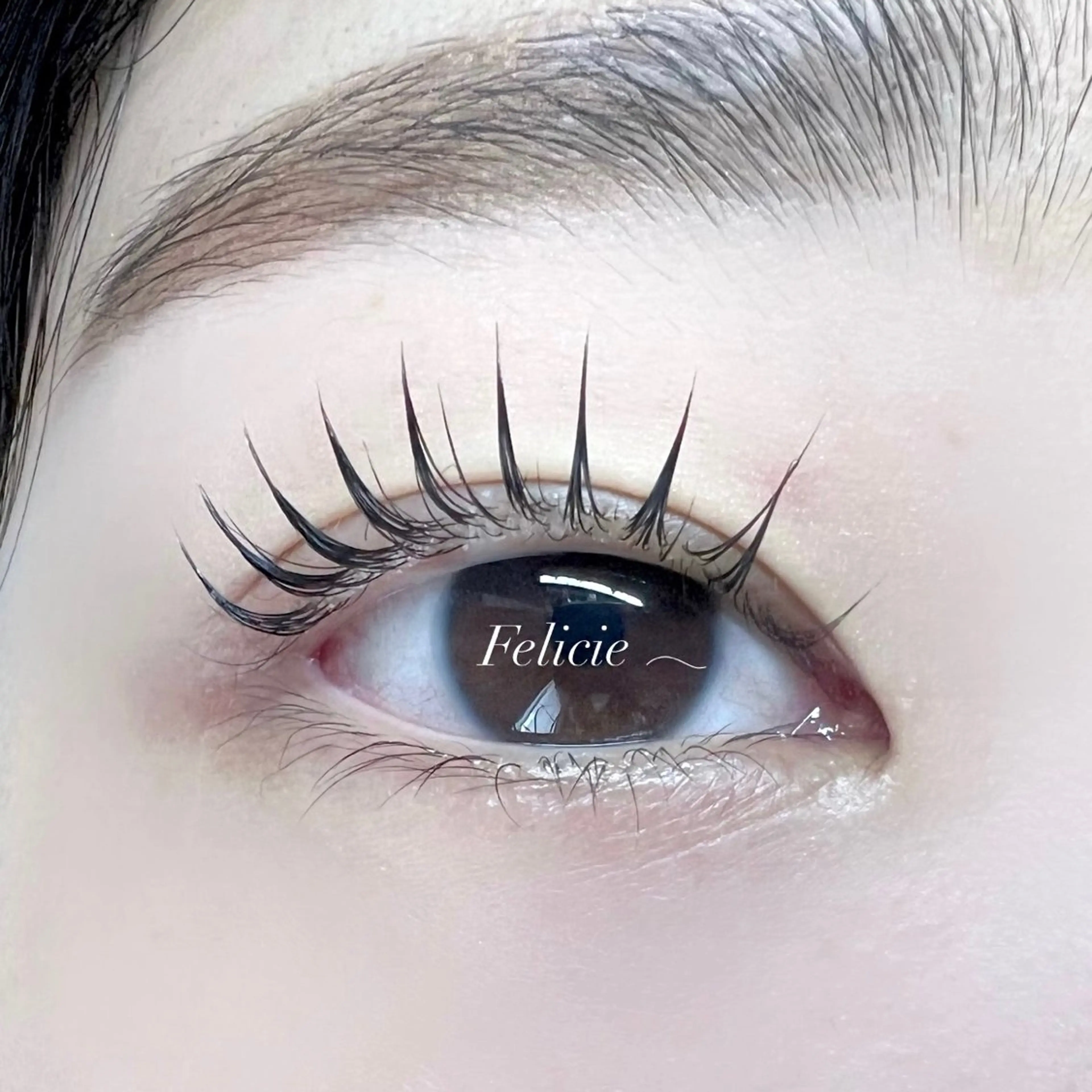 マツエク・マツパ パリジェンヌラッシュリフト マツパ Felicie＊ Sayakaのマツエク・マツパデザイン
