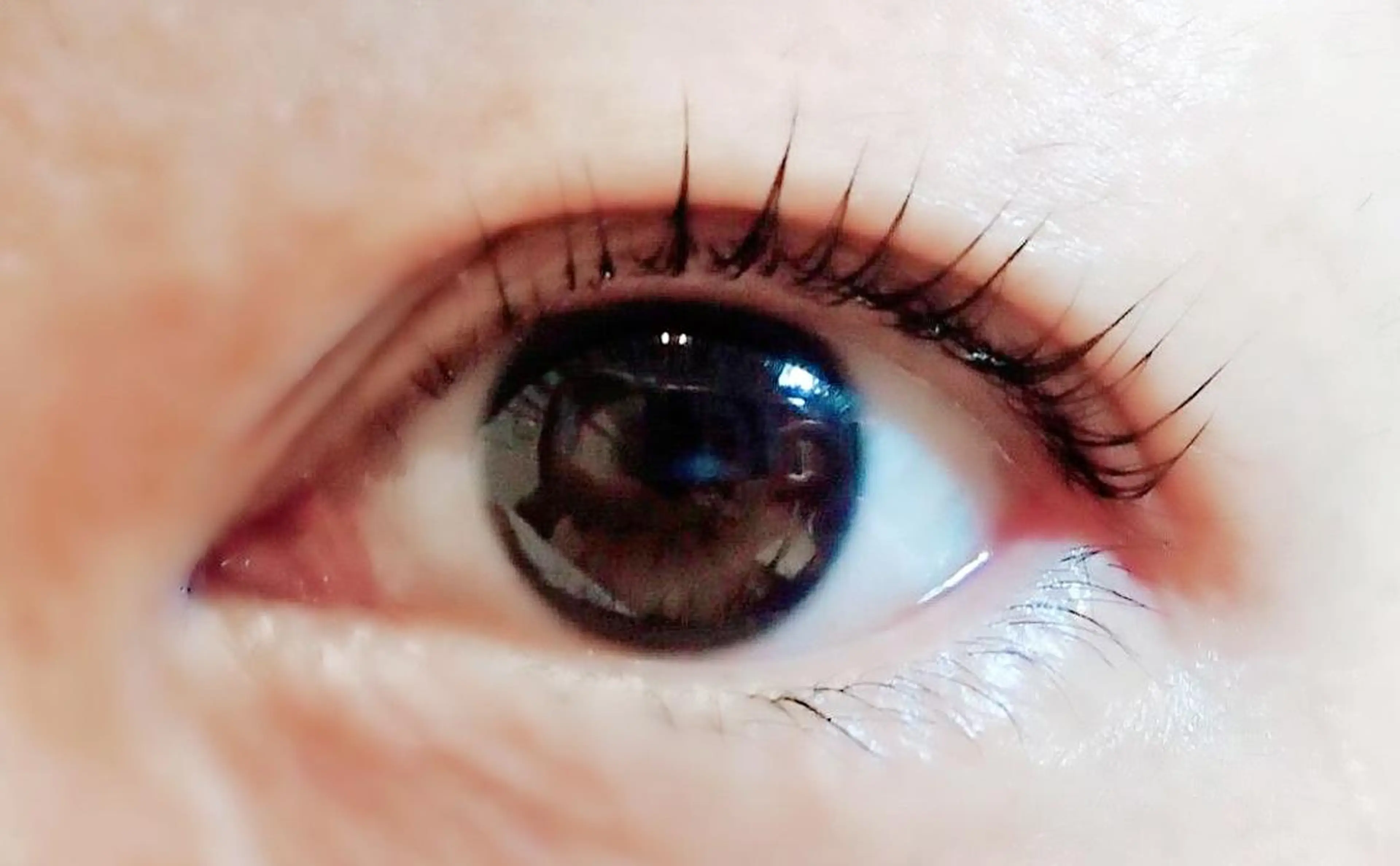 マツエク・マツパ kaona 吉祥寺のマツエク・マツパデザイン