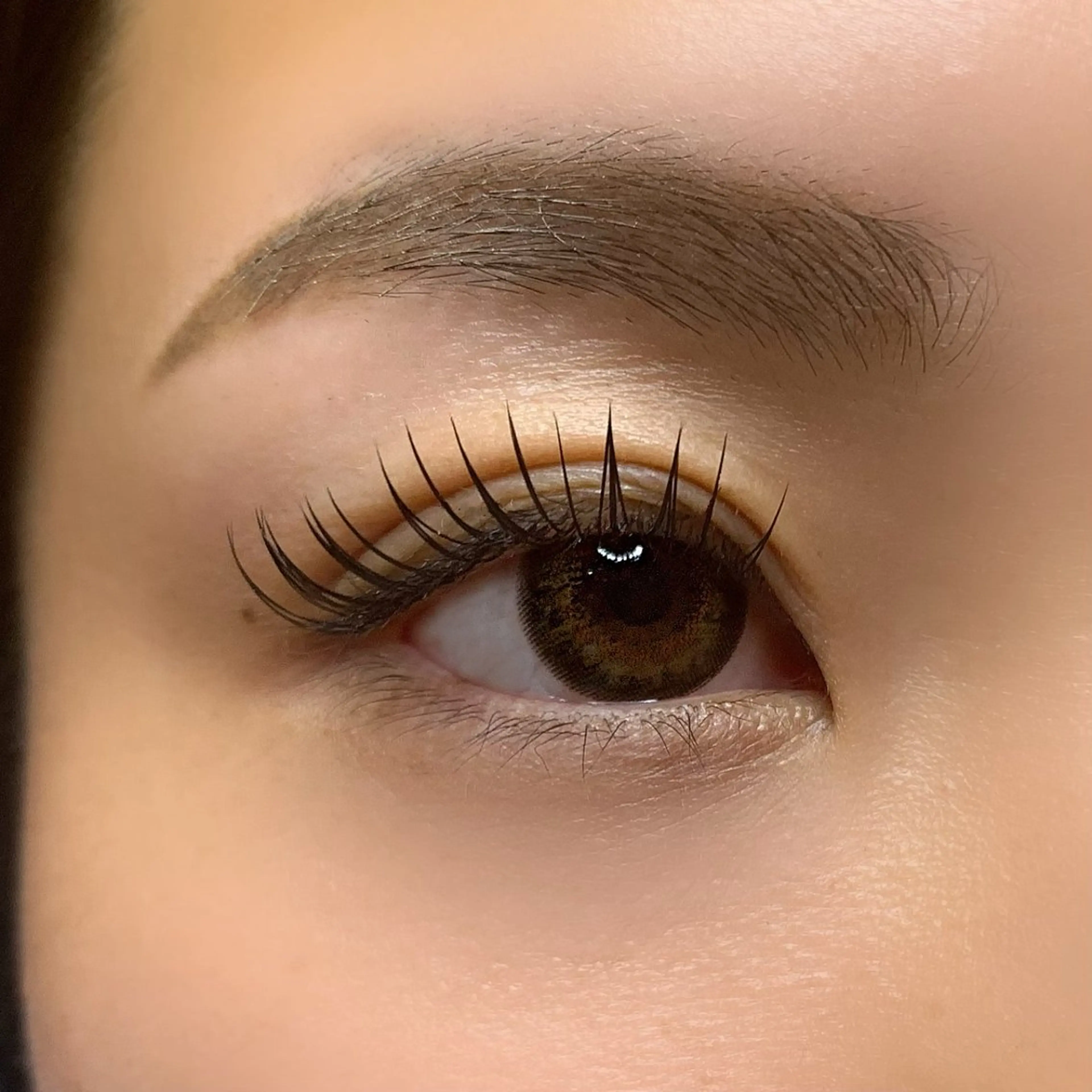 マツエク・マツパ 束感まつ毛 フラットラッシュ AYLASH石川 韓国風/カラエクのマツエク・マツパデザイン