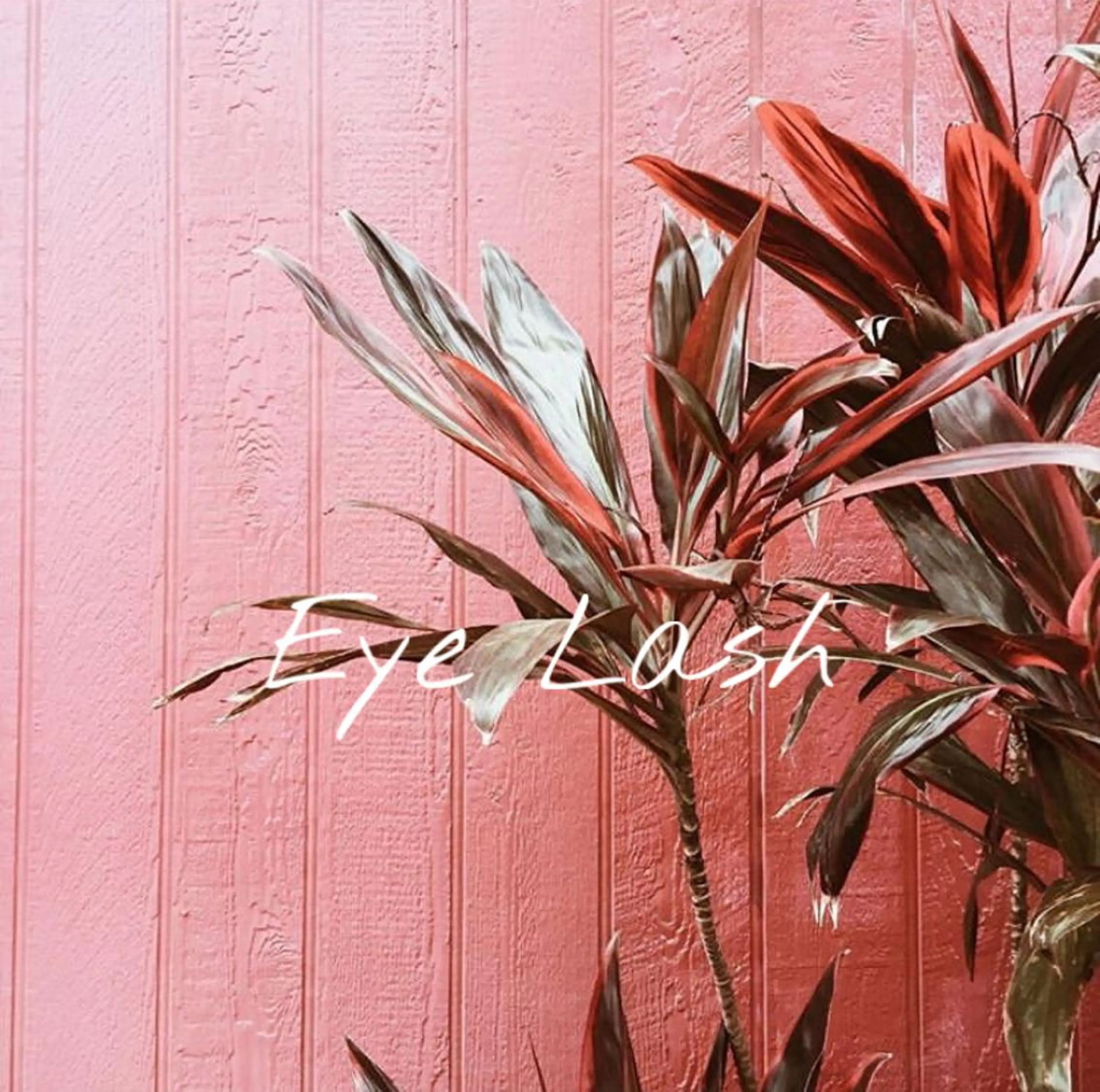 マツエク・マツパ Extension Tomato梅田店所属・Tomato 藤平のマツエク・マツパデザイン