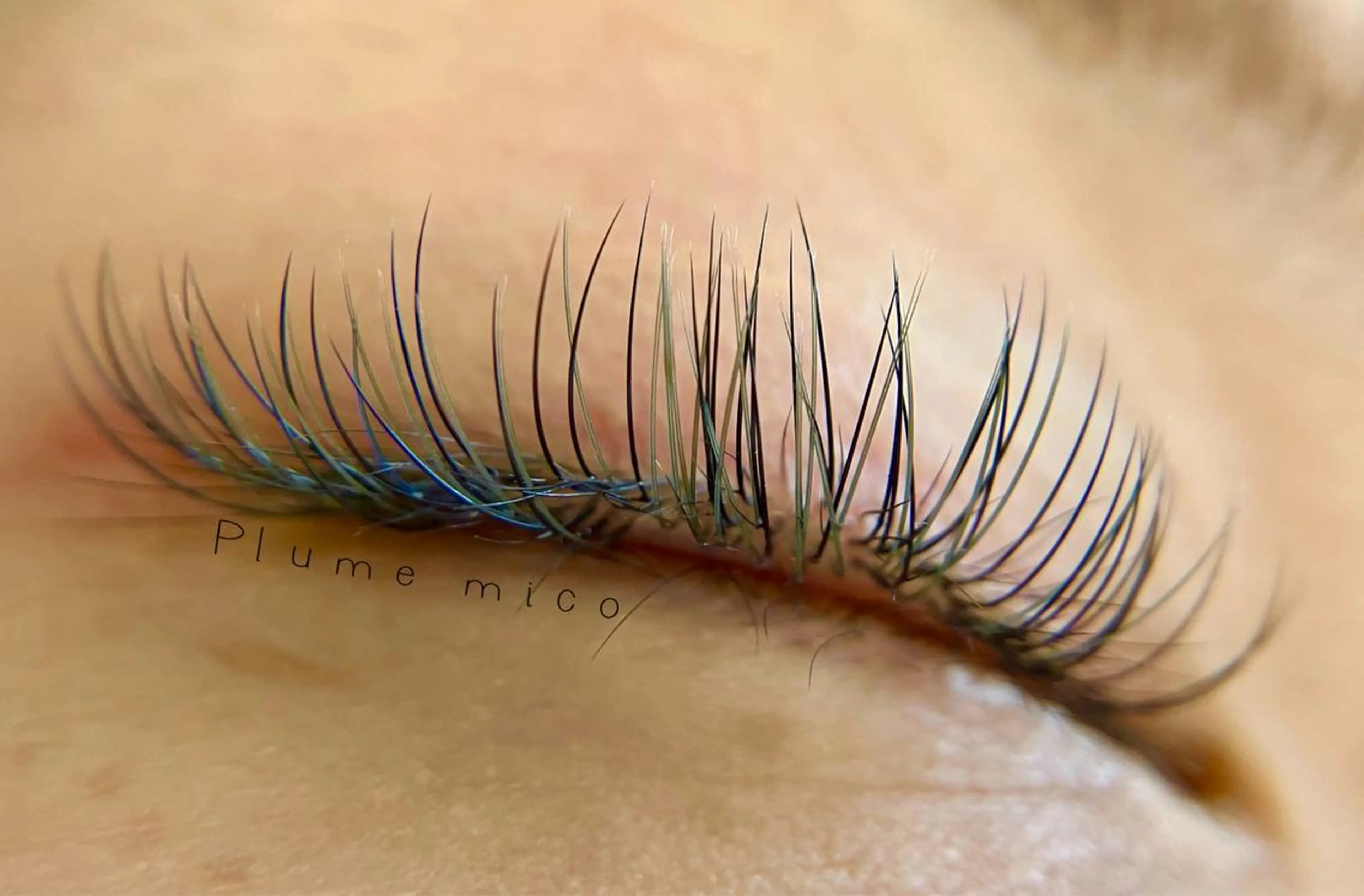 マツエク・マツパ マツエク Plume micoのマツエク・マツパデザイン