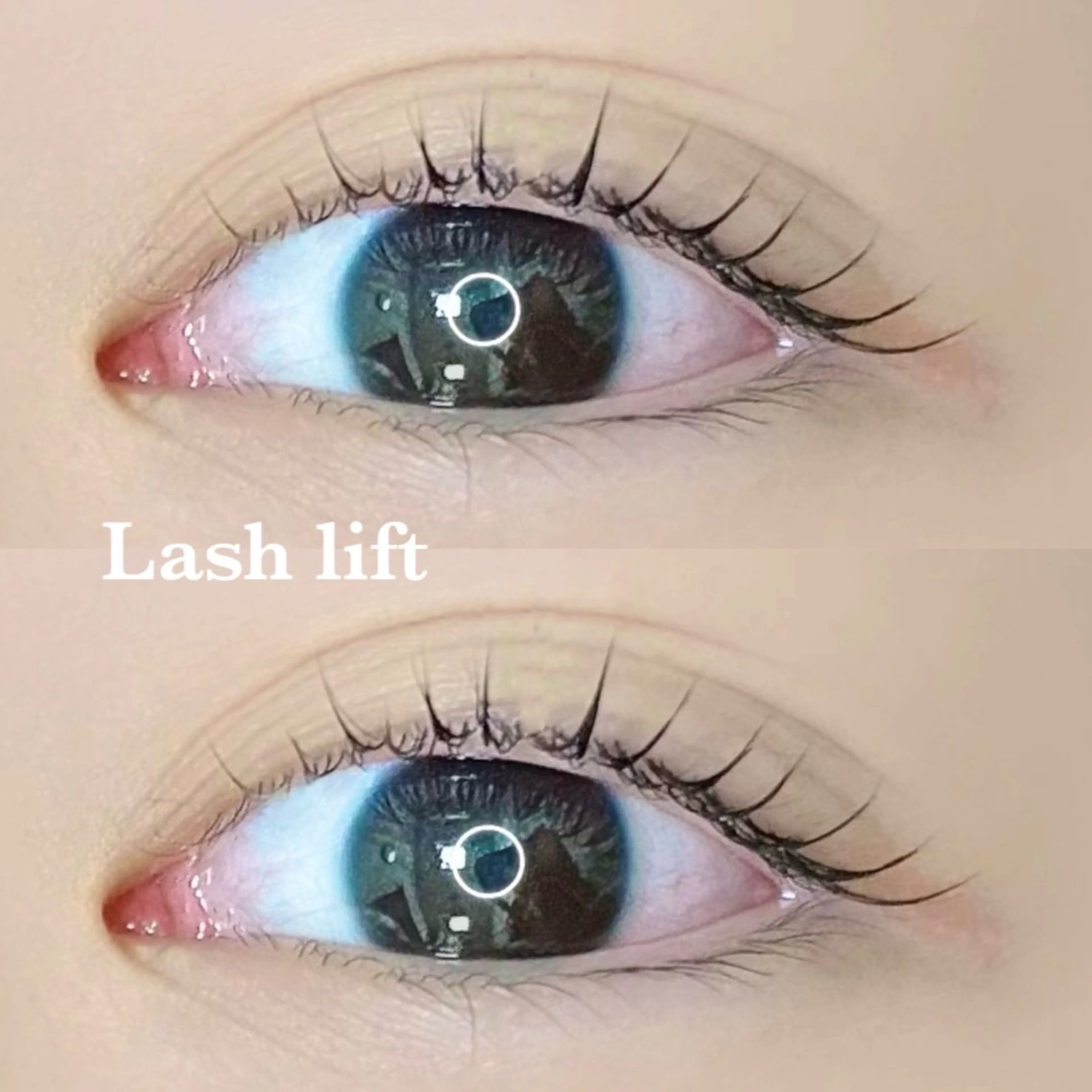 【韓国風マスカラパーマ】ラッシュリフト➕ブラックティント🌼の写真