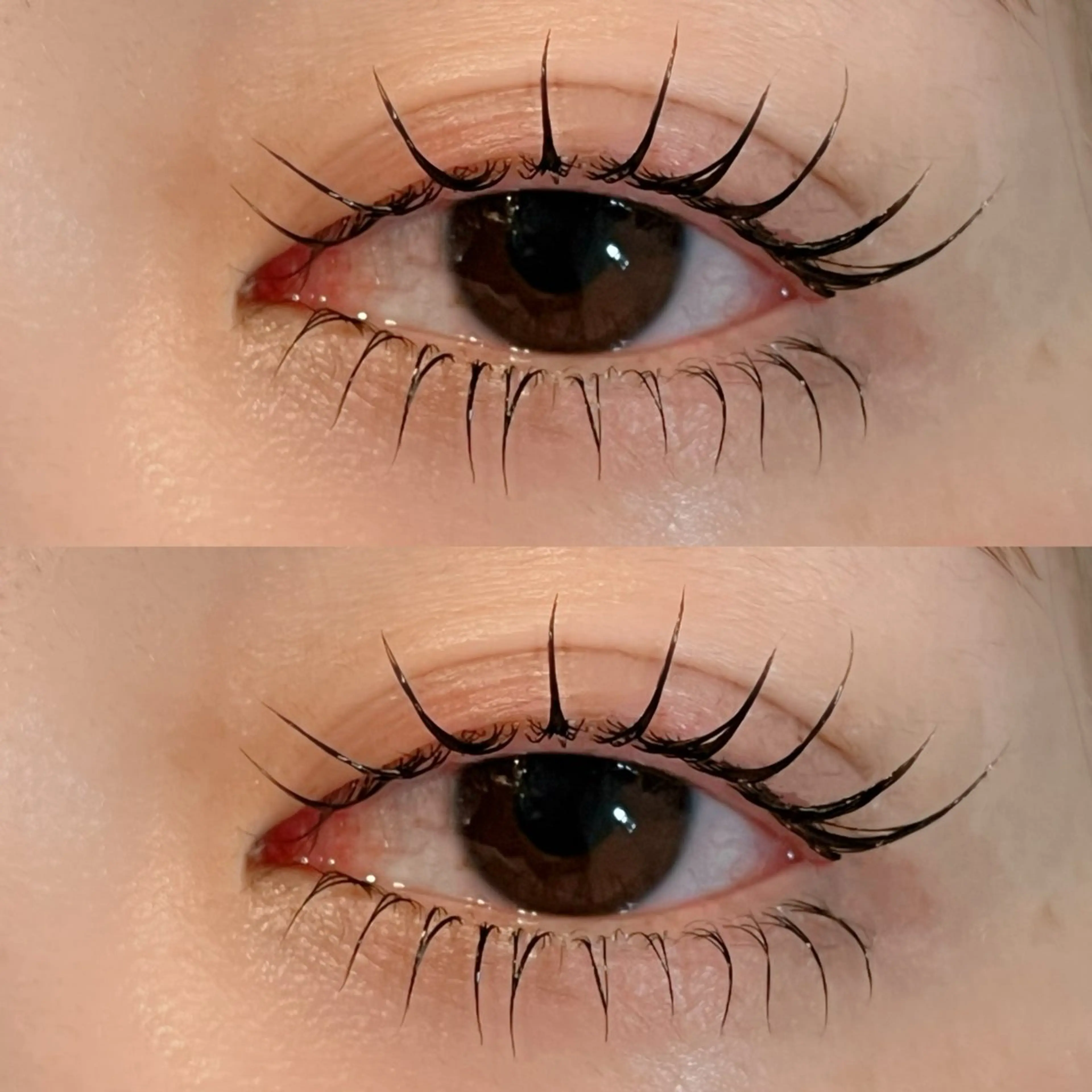 【新規様限定】上下まつ毛パーマ🩷の写真