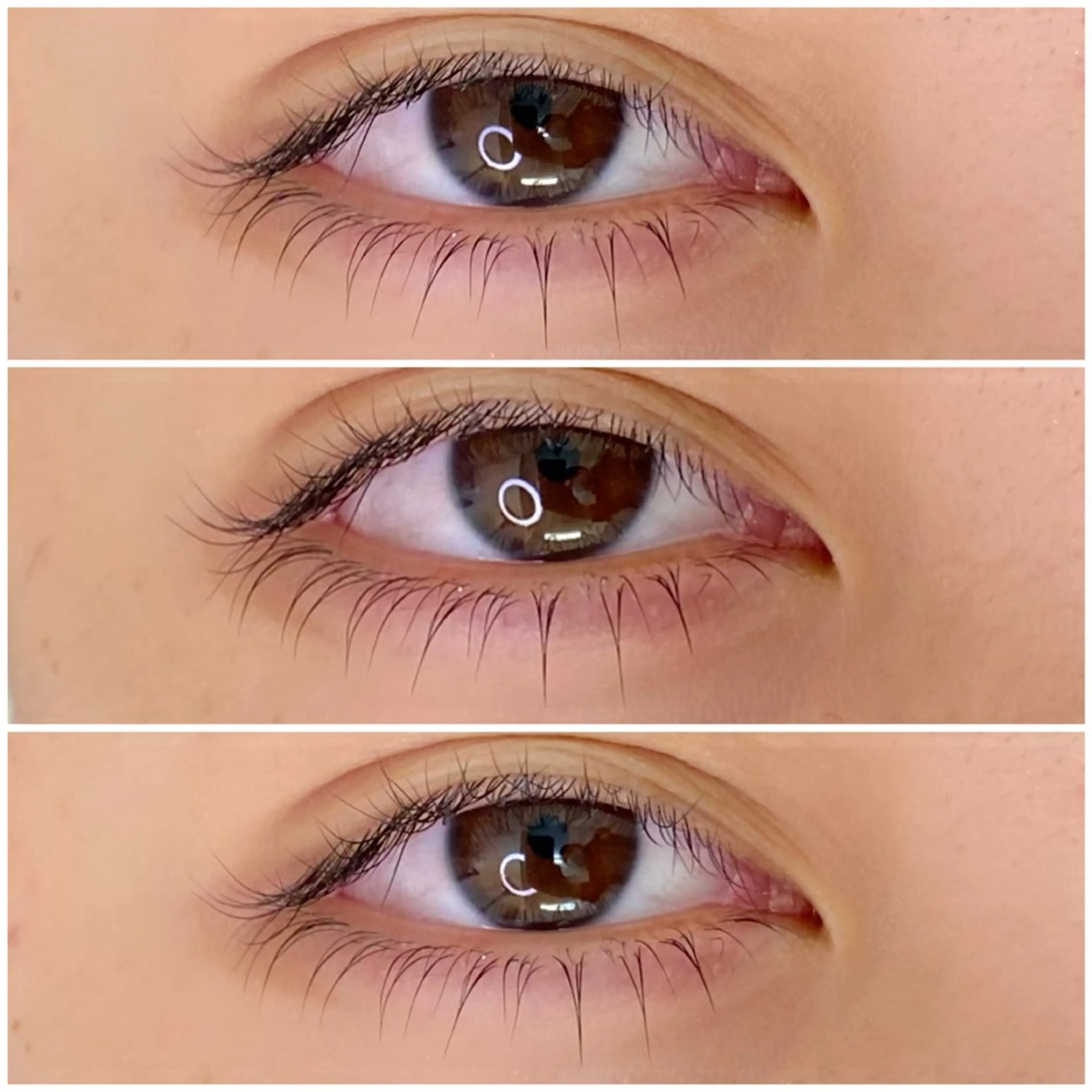 下まつげパーマのみの写真