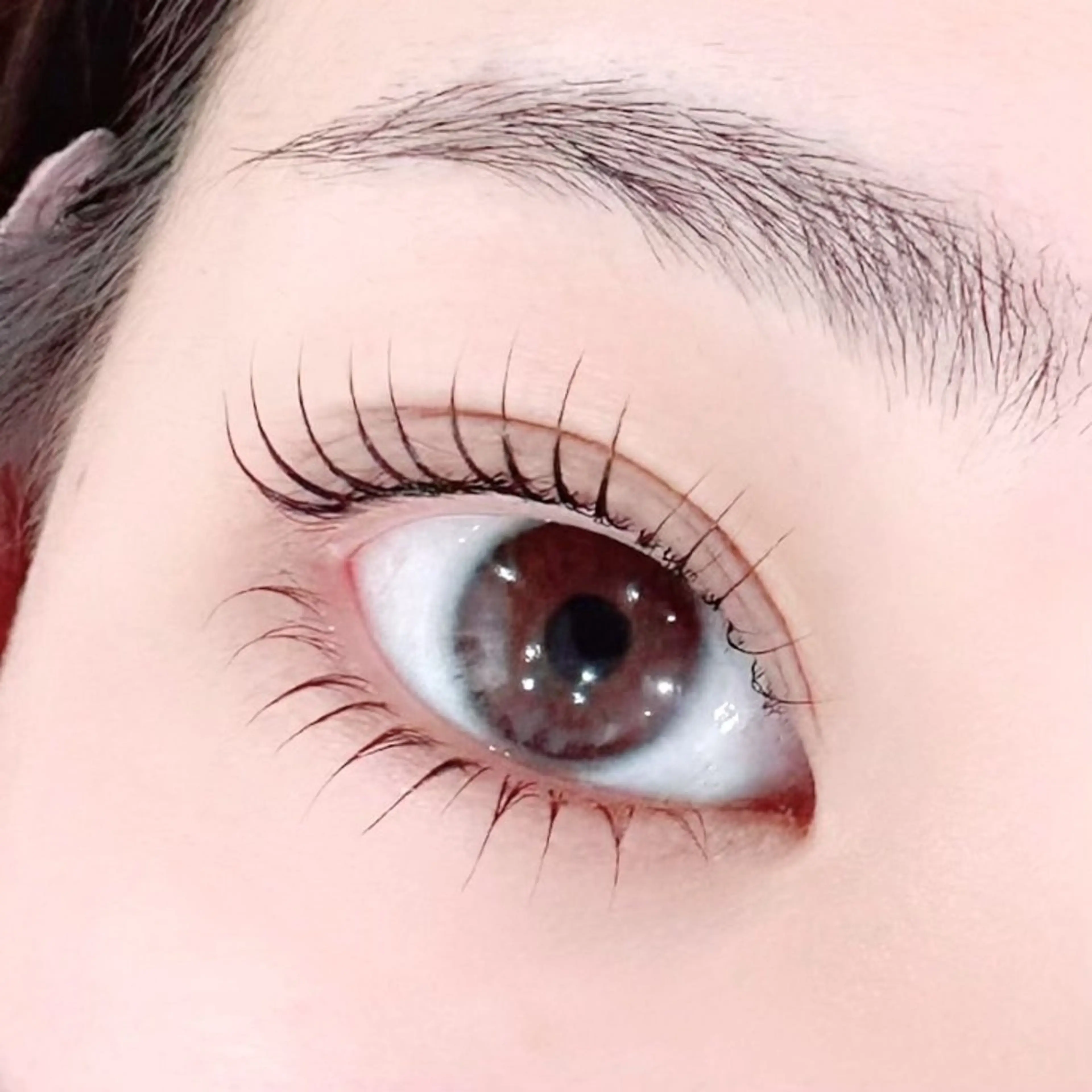 【ミニモ限定】ラッシュリフト上下　5500円の写真