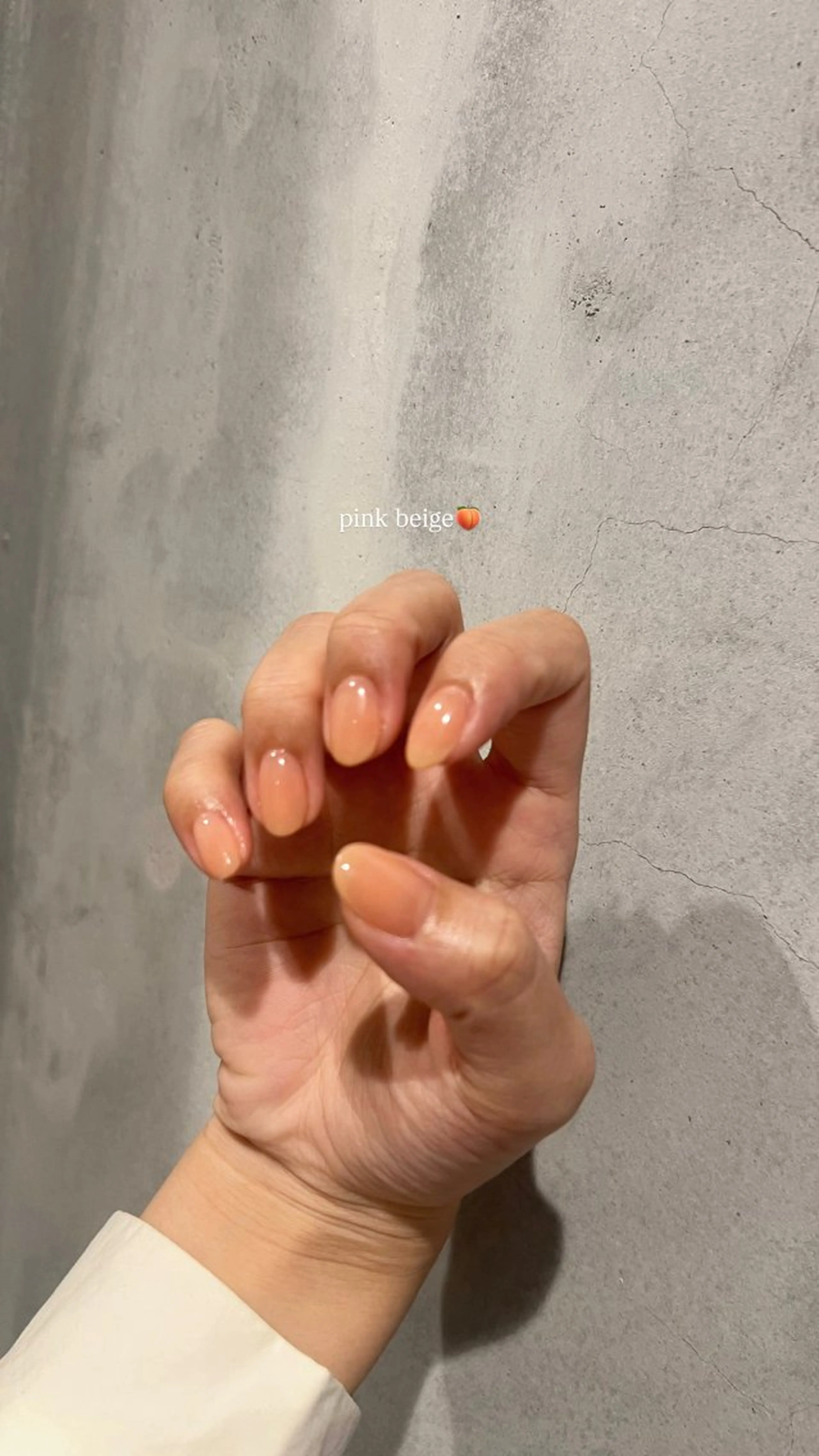 ワンカラー・グラデーションの写真