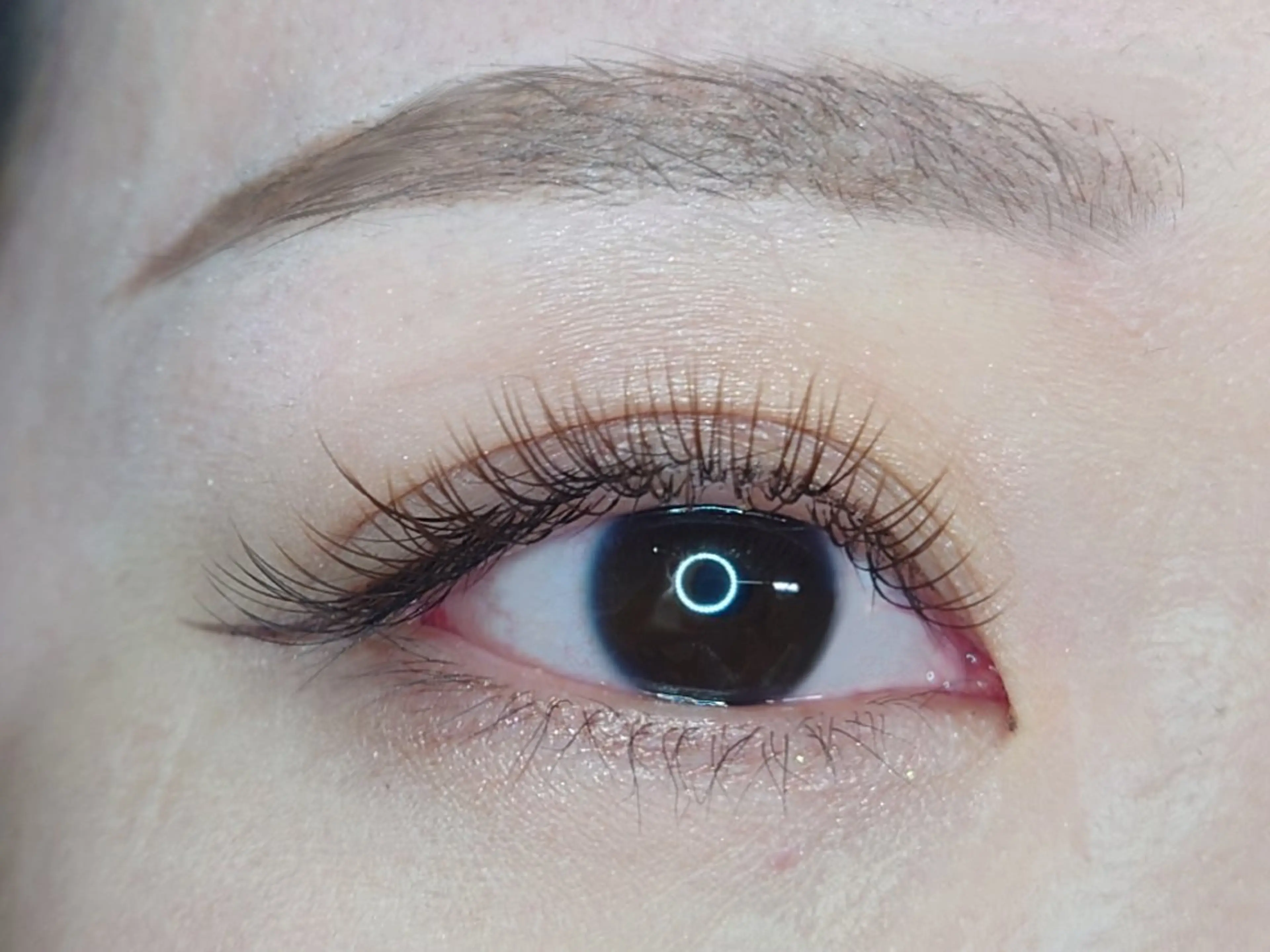 【フラットラッシュ】🍀100〜120本(初回オフ込)　LED変更・&healthy追加🆗✨🍀の写真