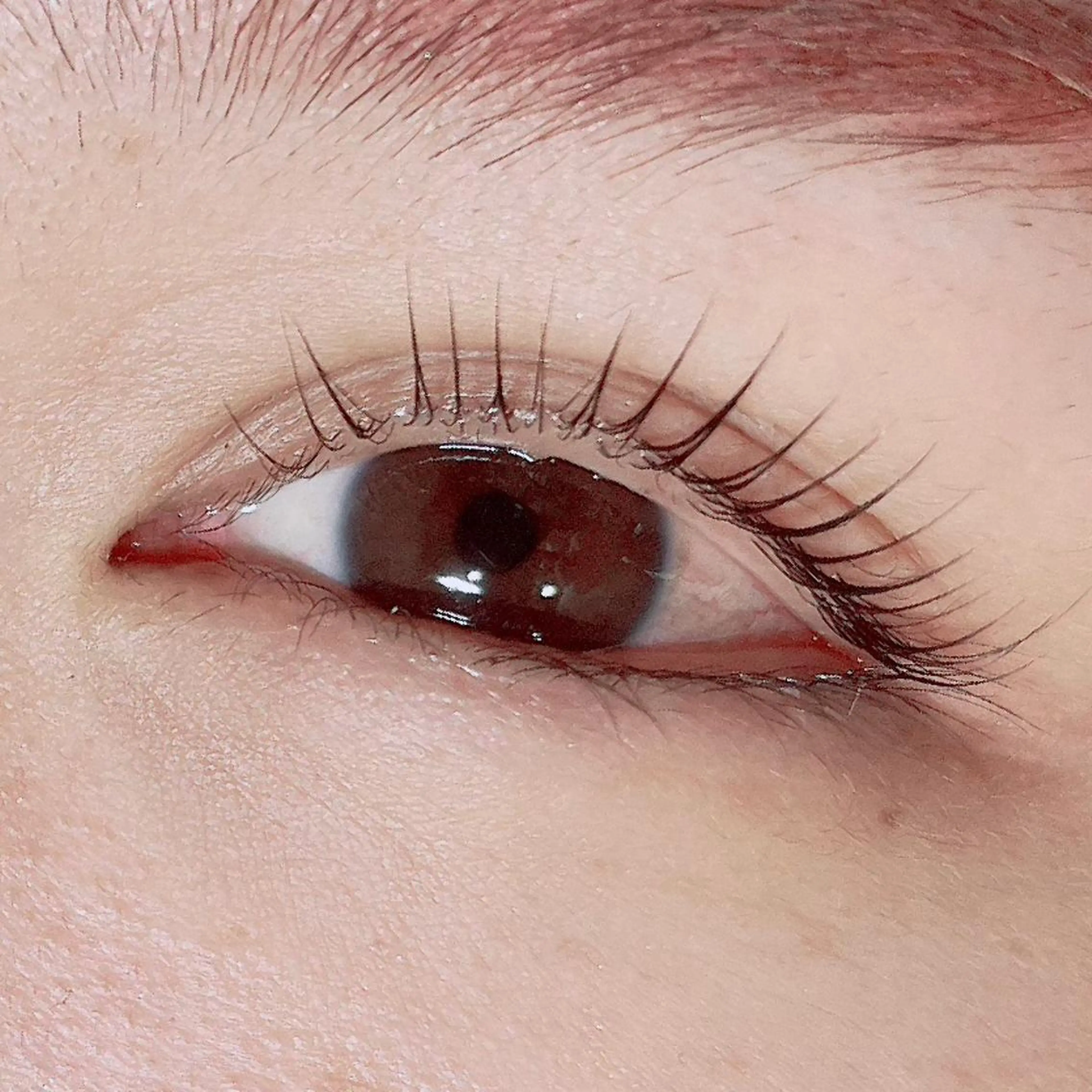 マツエク・マツパ アイリスト araiのマツエク・マツパデザイン