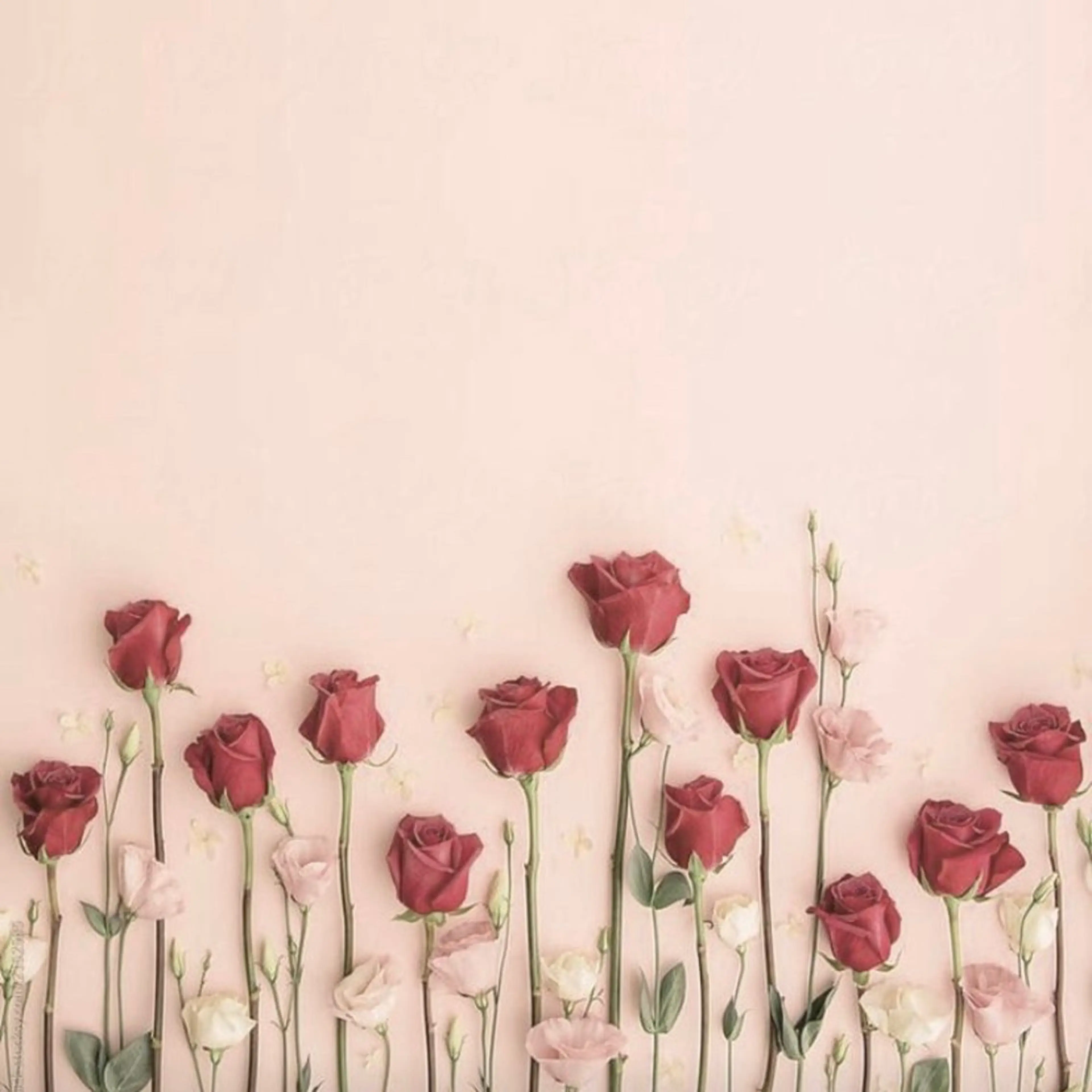 マツエク・マツパ リスブラン小伝馬町 AKARIのマツエク・マツパデザイン