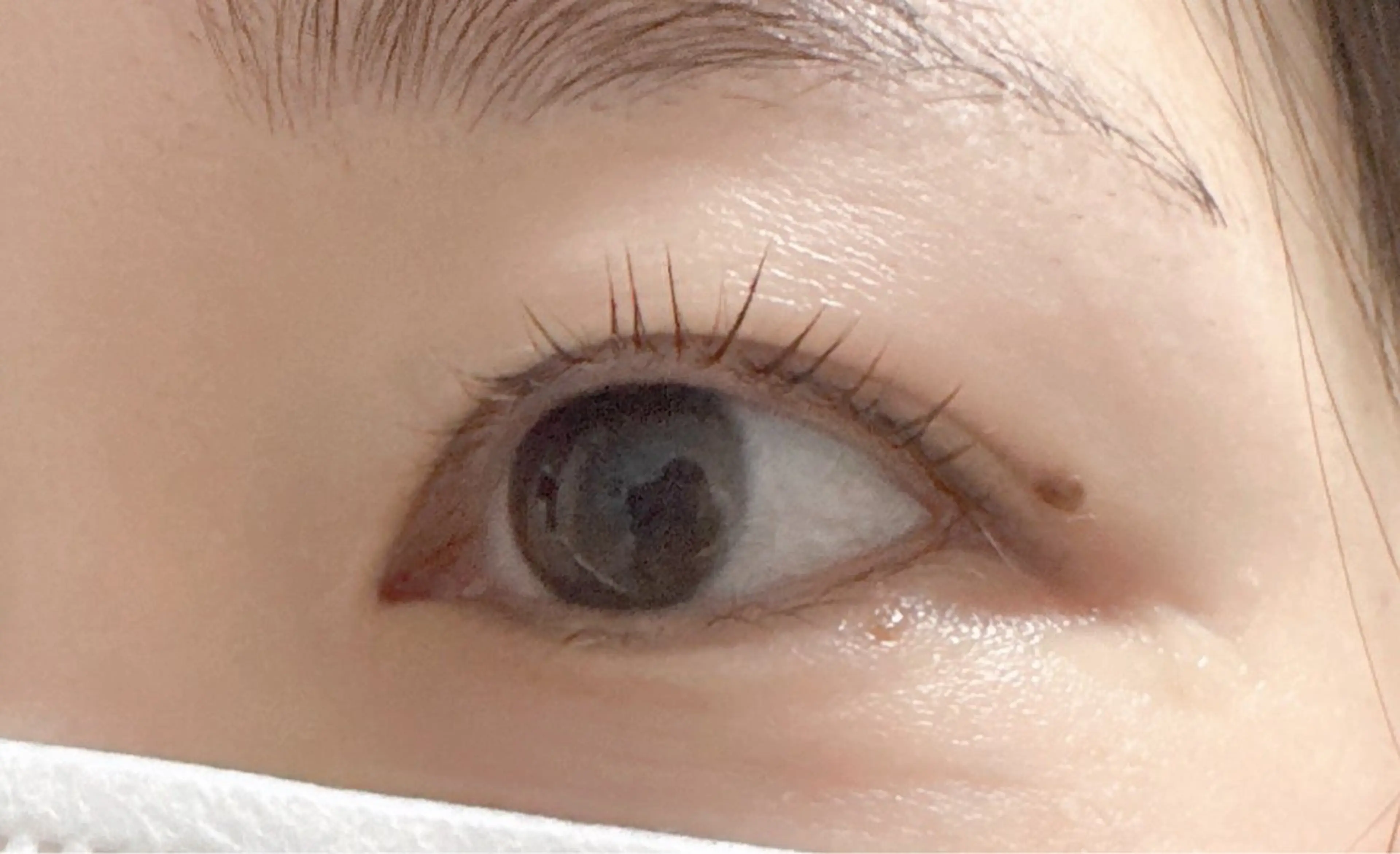 マツエク・マツパ パリジェンヌラッシュリフト 隠れ家サロン にんにんのマツエク・マツパデザイン