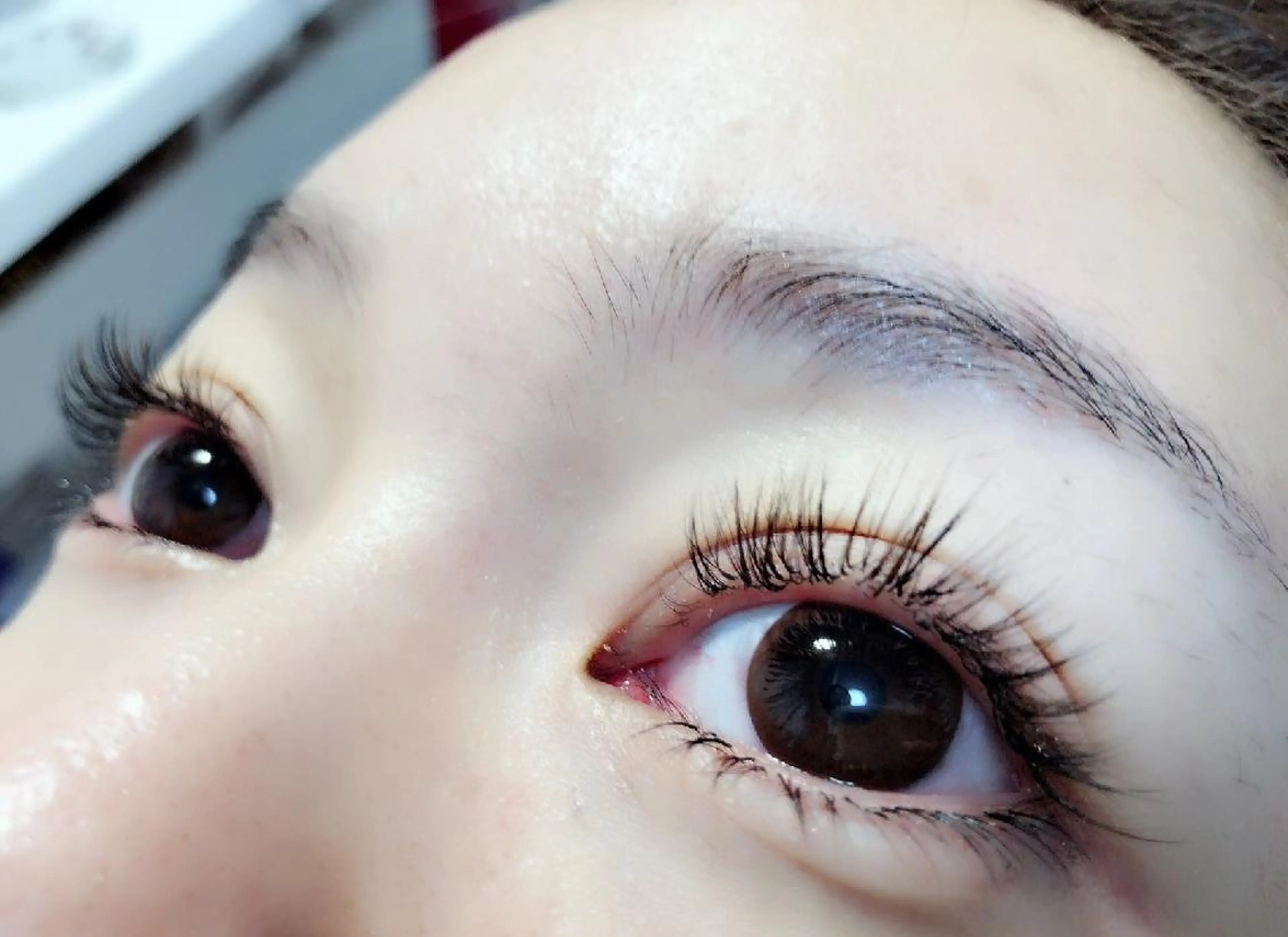 マツエク・マツパ 付け放題 カラーマツエク キュート フラットラッシュ セーブル 吉岡 ゆうなのマツエク・マツパデザイン