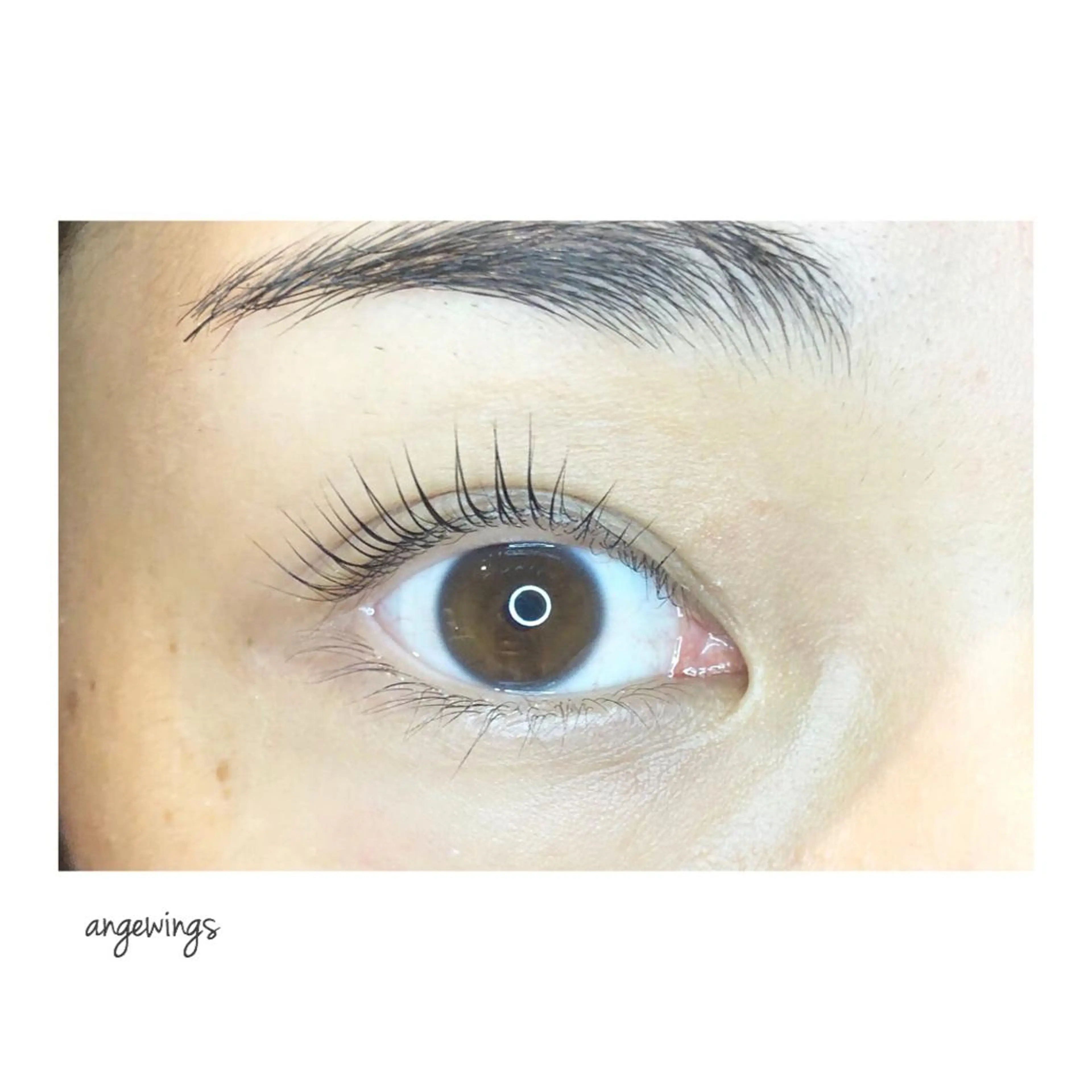 マツエク・マツパ パリジェンヌラッシュリフト マツパ ANNE梅田ALLYS店所属・高松 せりなのマツエク・マツパデザイン