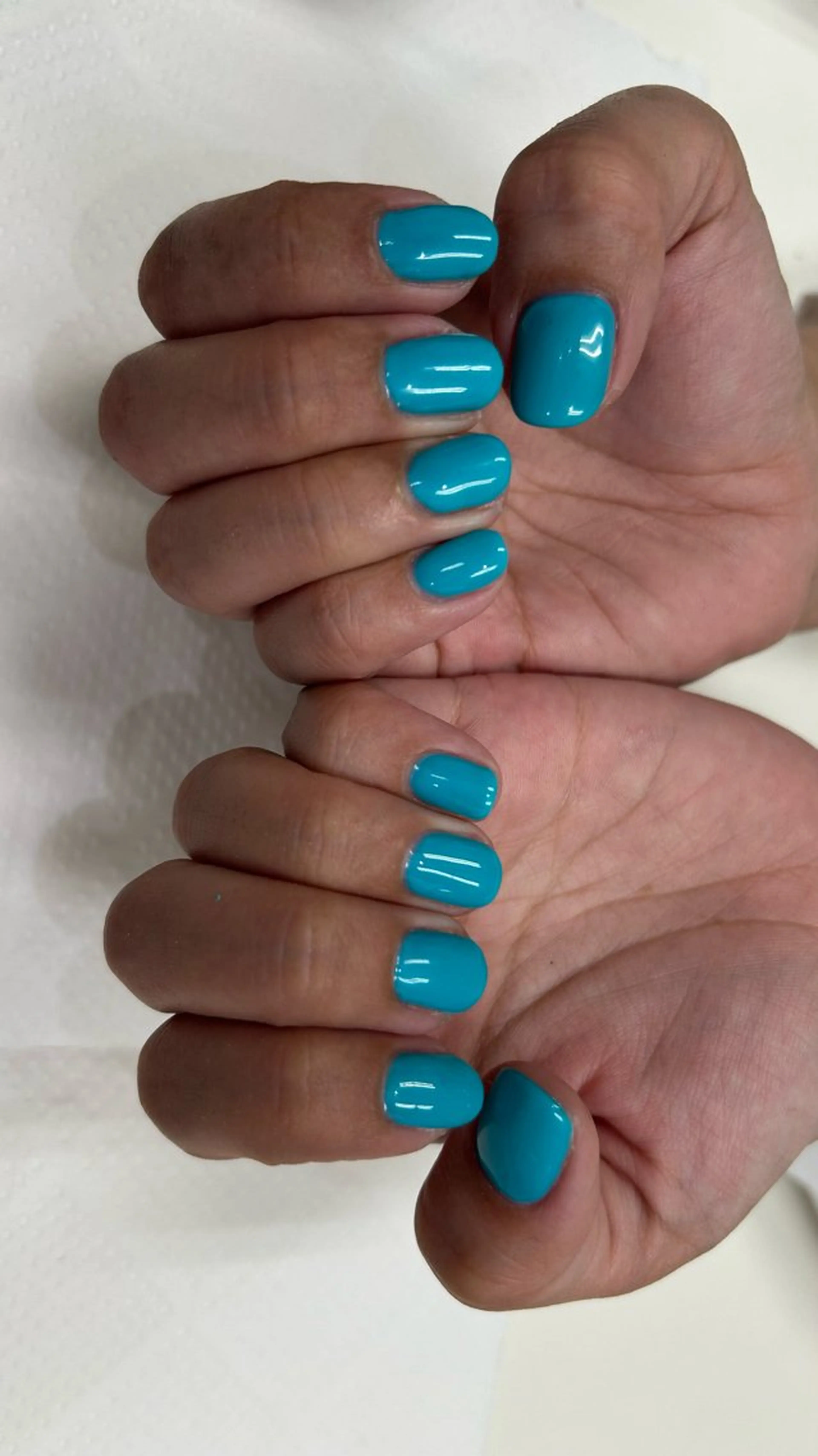 🎀ワンカラー🎀の写真