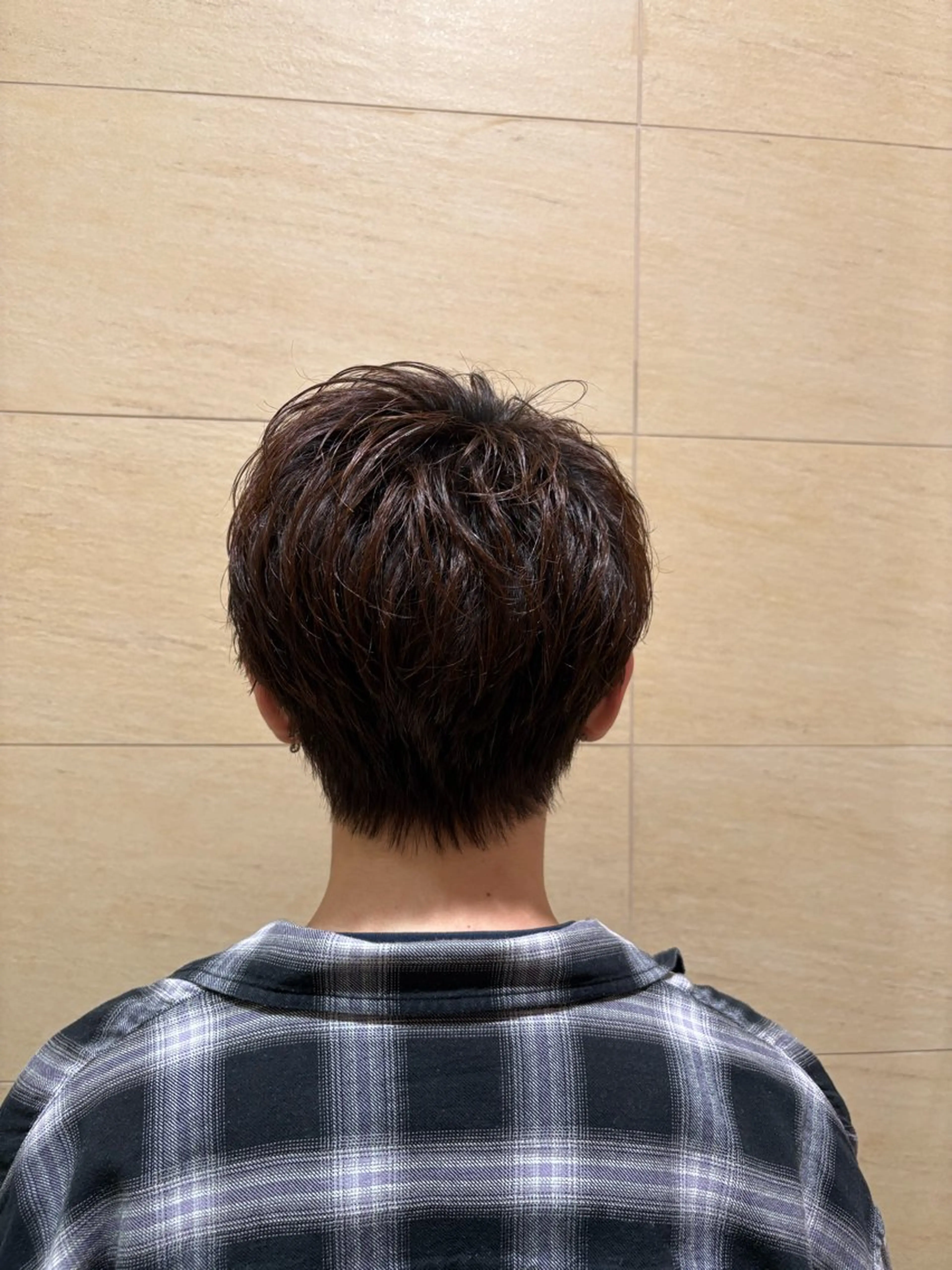 カット+ワンカラーモデルの写真