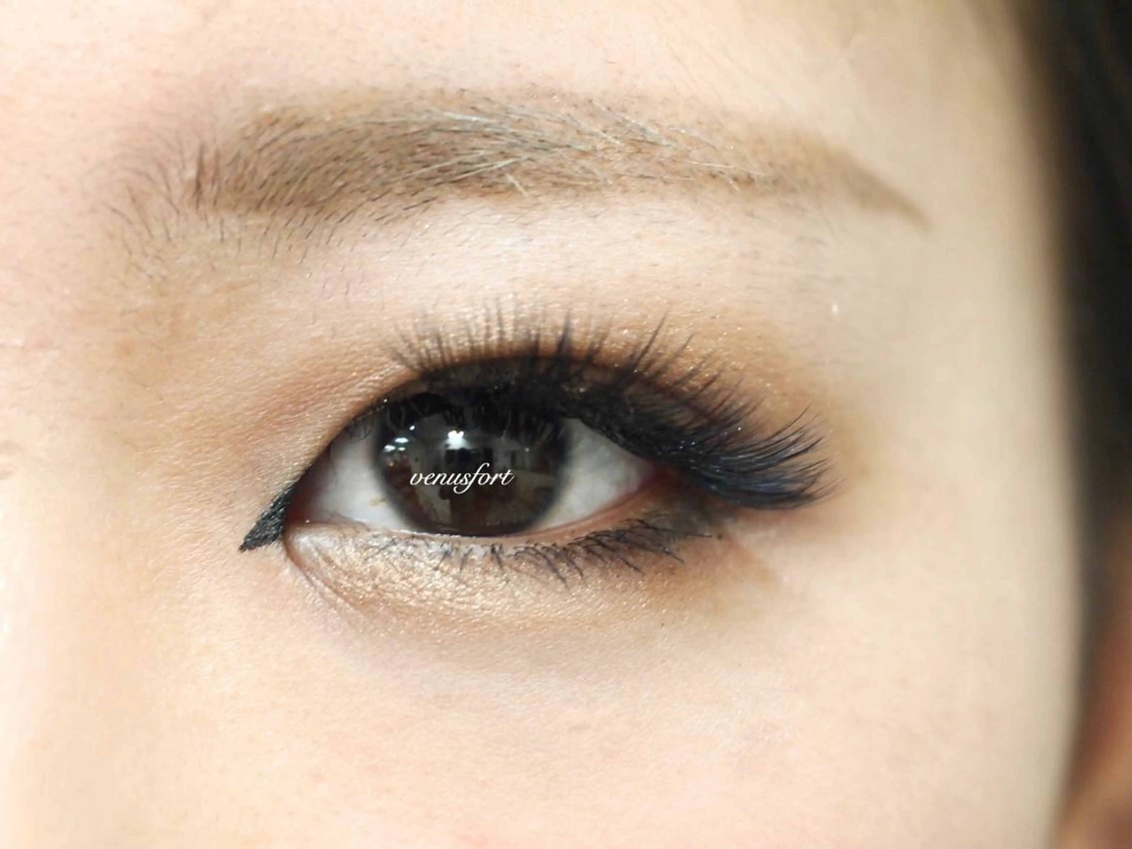 マツエク・マツパ ボリュームラッシュ 本通り店 ビーナスフォートのマツエク・マツパデザイン