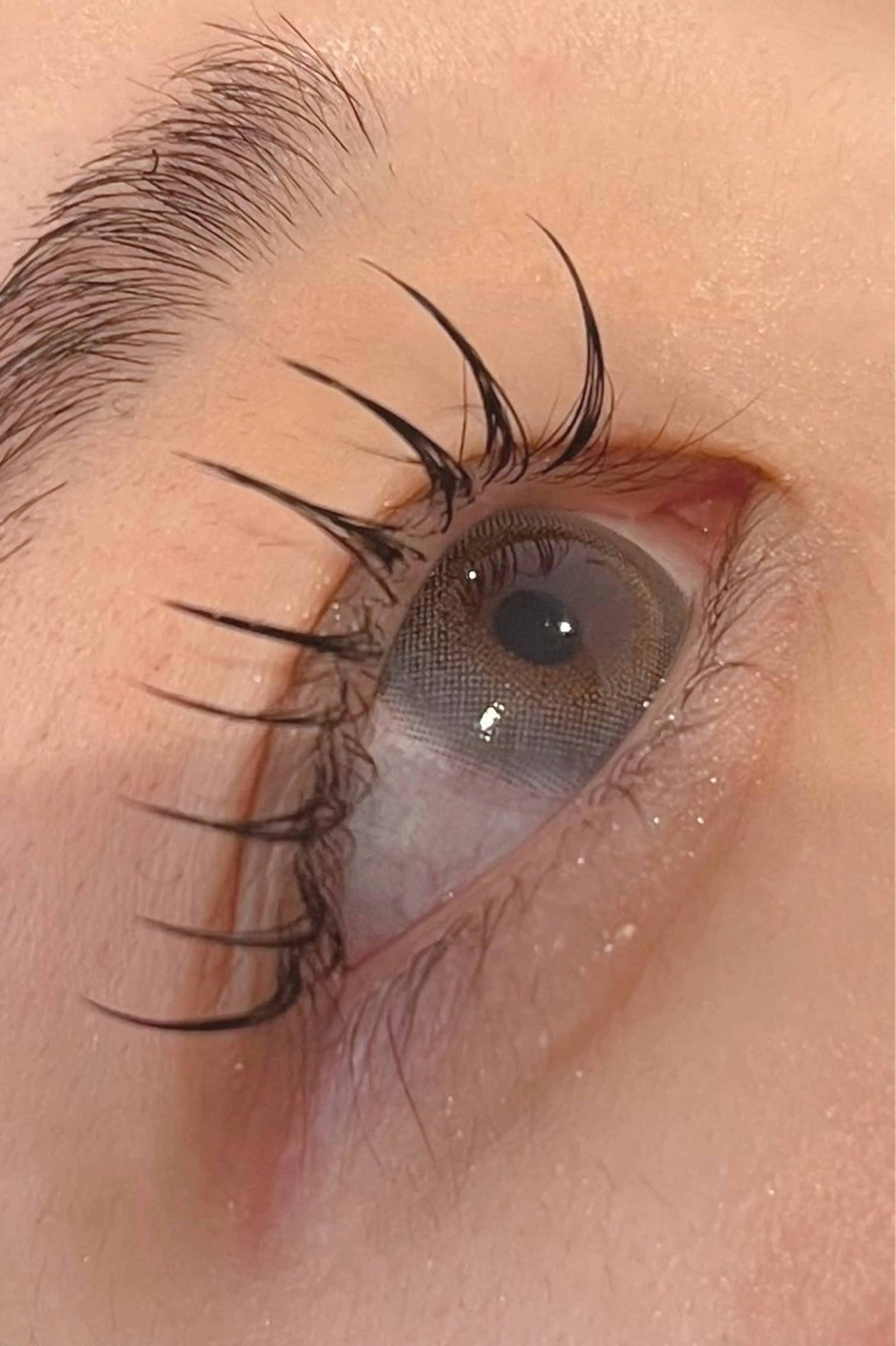 マツエク・マツパ フラットラッシュ ゴージャス ナチュラル eyelist HARU🌷のマツエク・マツパデザイン