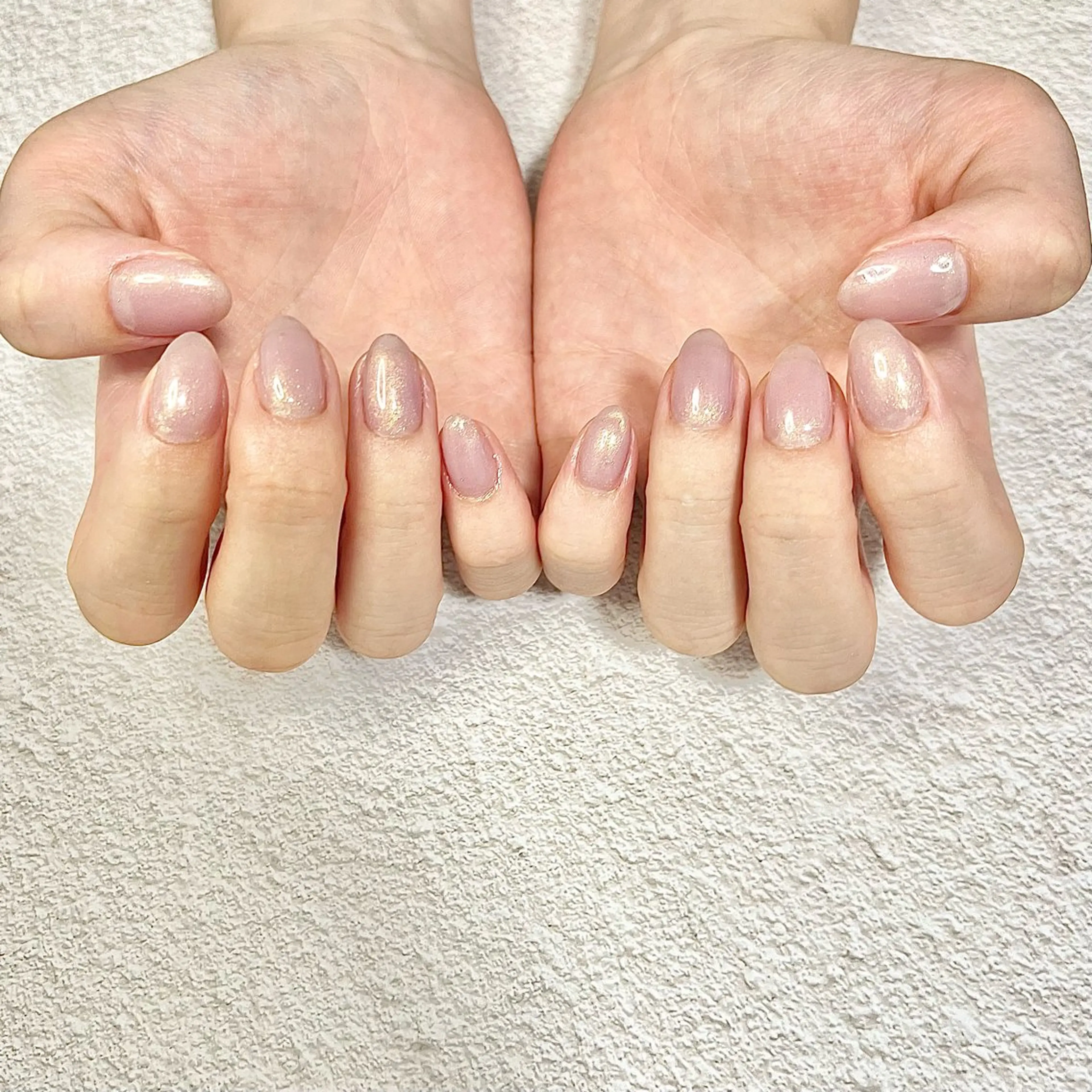 ワンカラー（オフなし）の写真