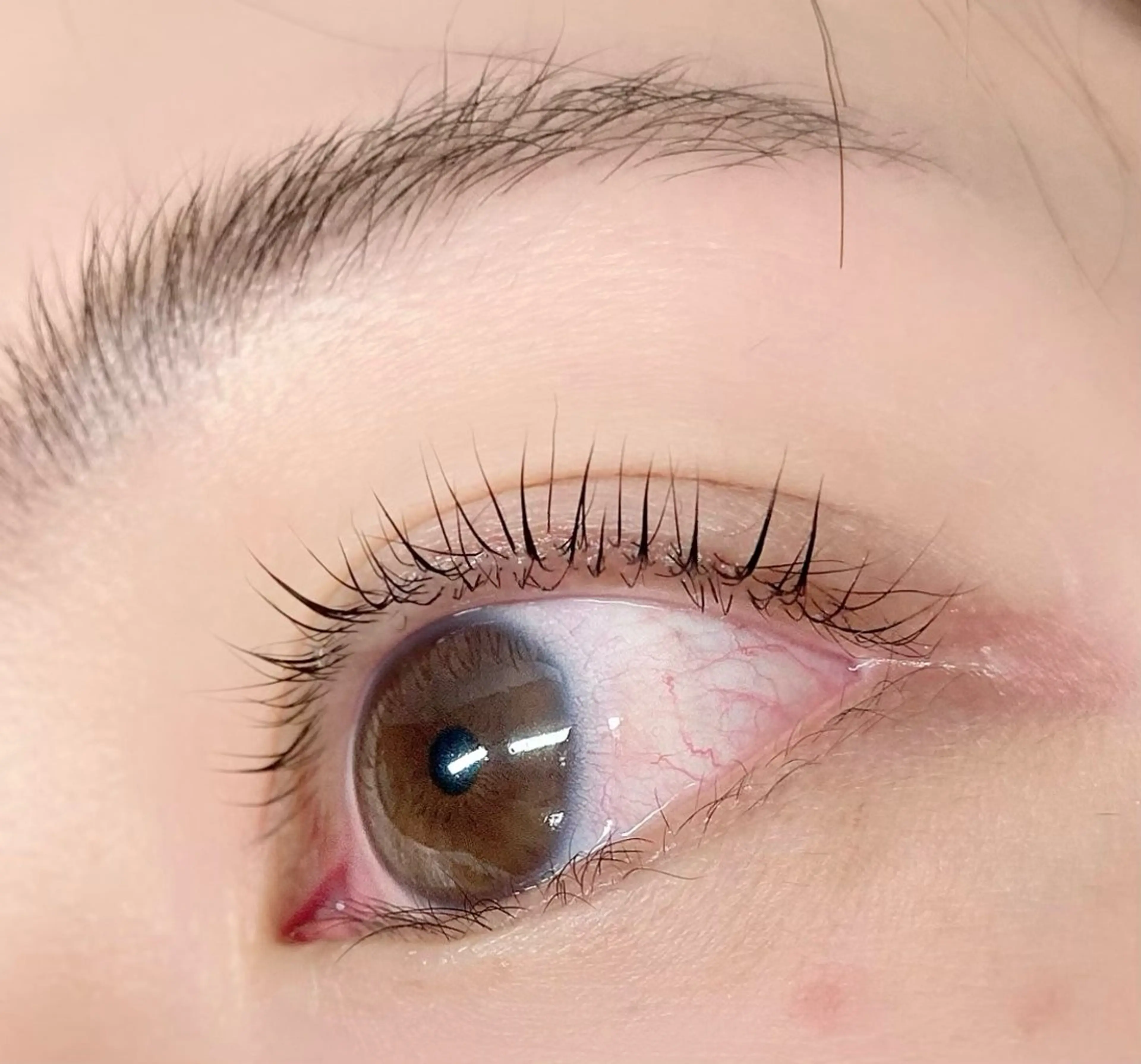 マツエク・マツパ アミーラ所属・Amira/アミーラ YU-KA🤍のマツエク・マツパデザイン