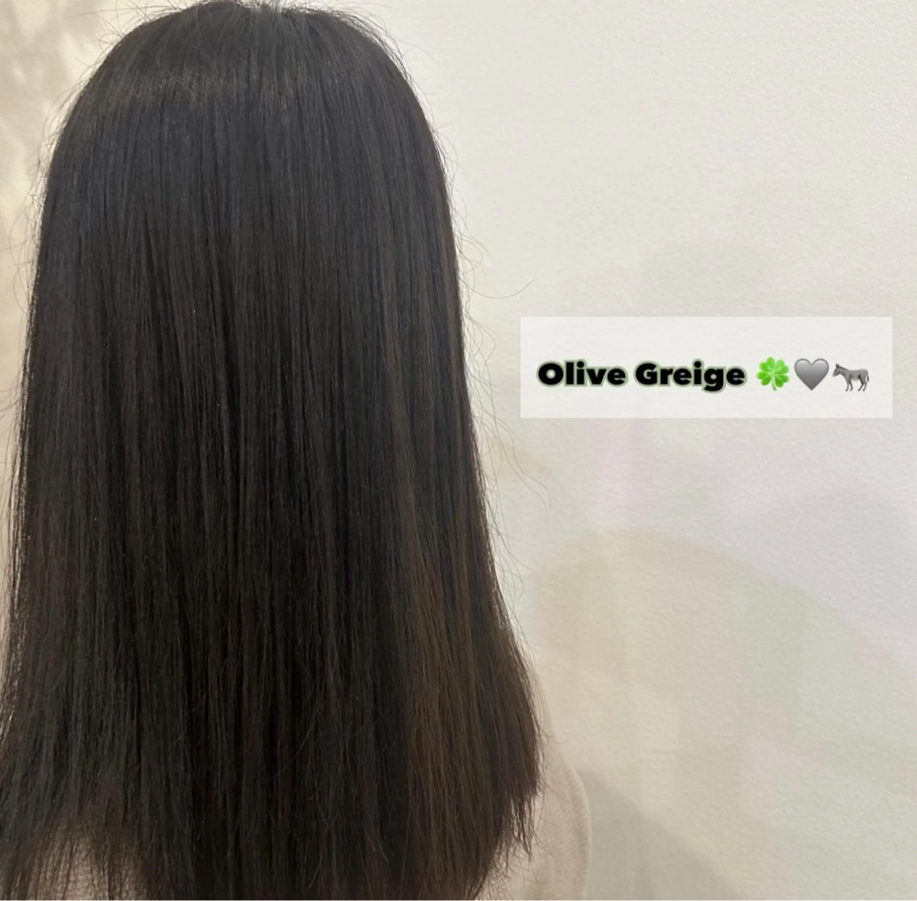 ミディアム 福井 優羽のヘアスタイル