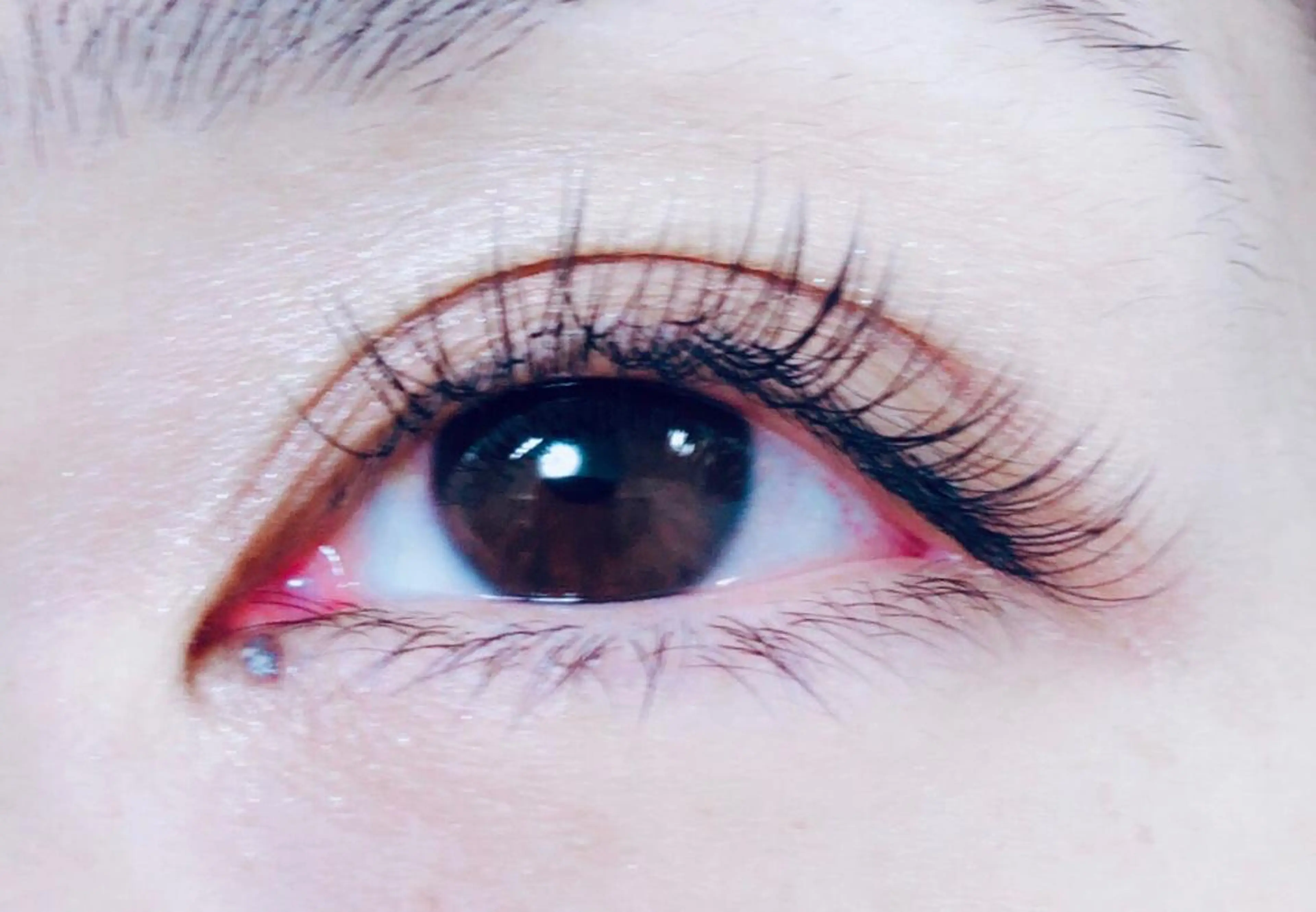 マツエク・マツパ Cカール フラットラッシュ Shinus シャイナスのマツエク・マツパデザイン