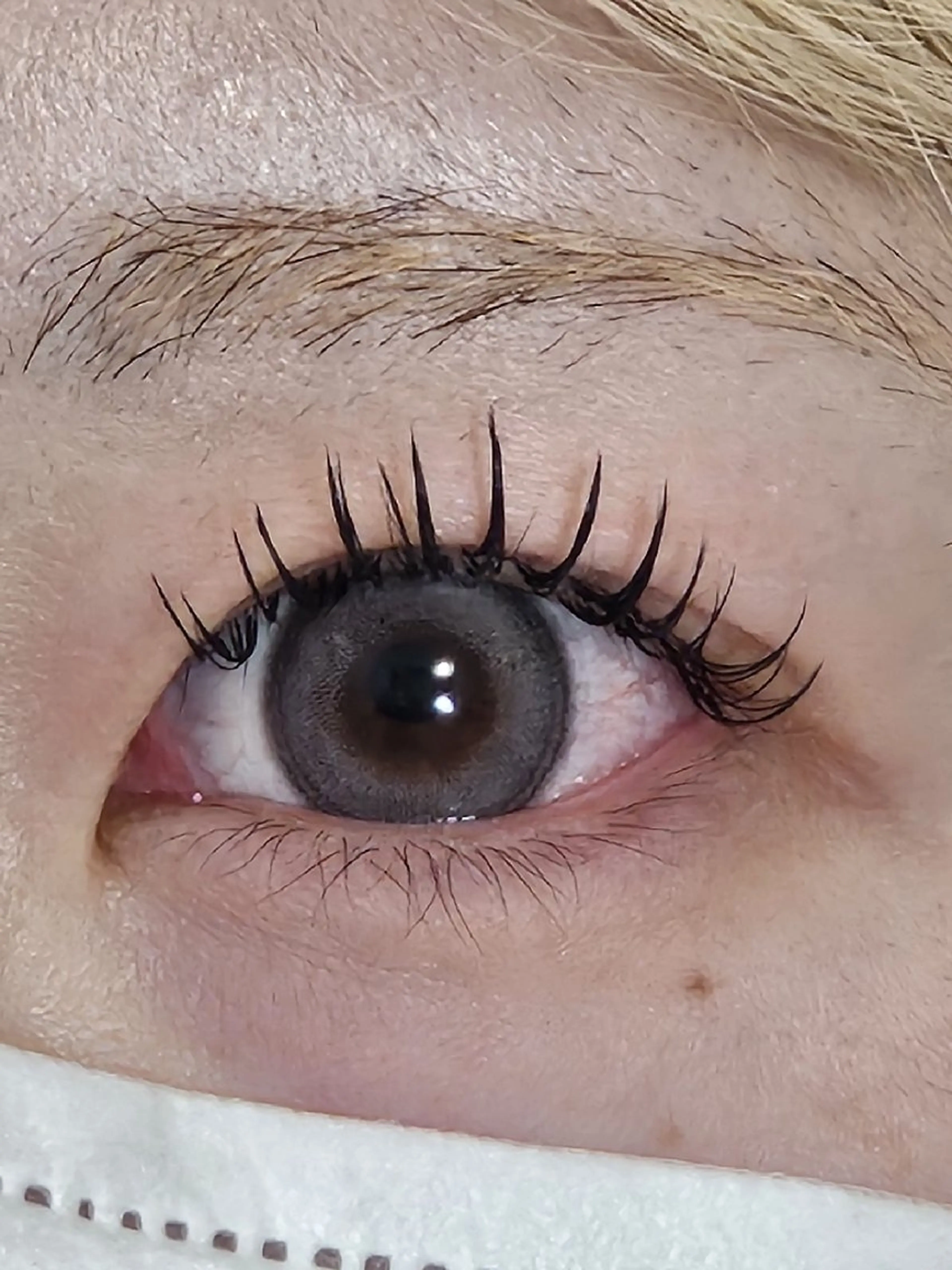 マツエク・マツパ 束感まつ毛 キュート フラットラッシュ Rich to 西尾店所属・Rich to 鈴木のマツエク・マツパデザイン